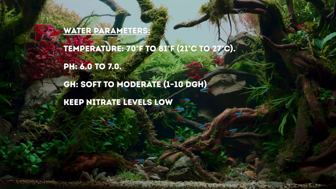 Planted aquarium with water parameter recommendations displayed on screen