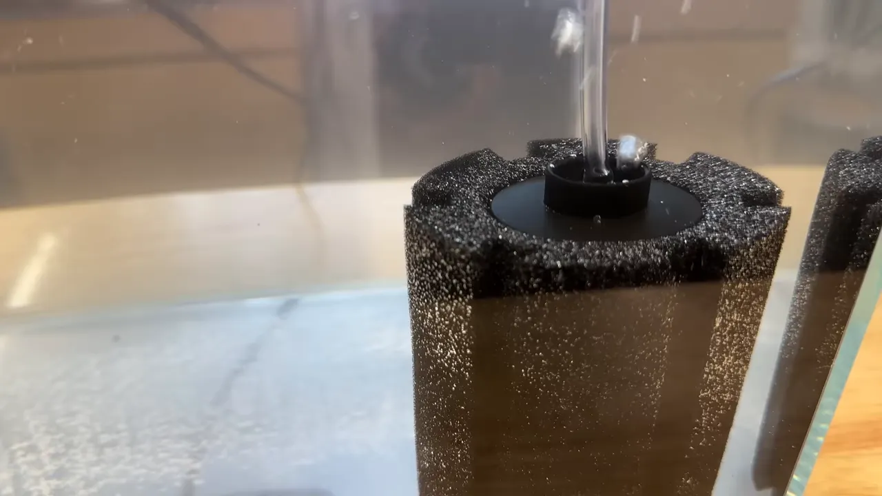 Close view of bubbles rising through the uplift tube of a sponge filter