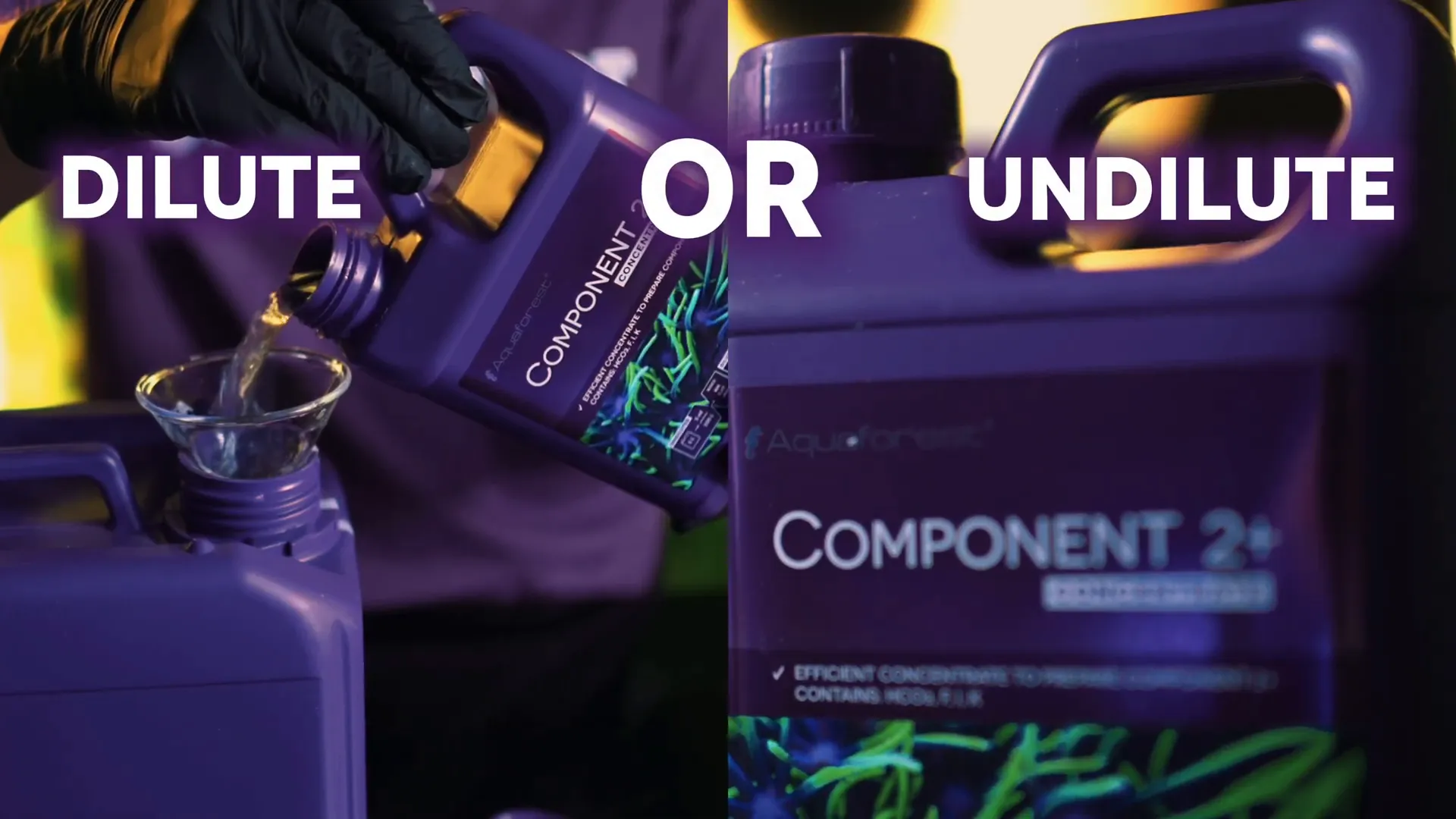 Dosing pump setup for reef aquarium