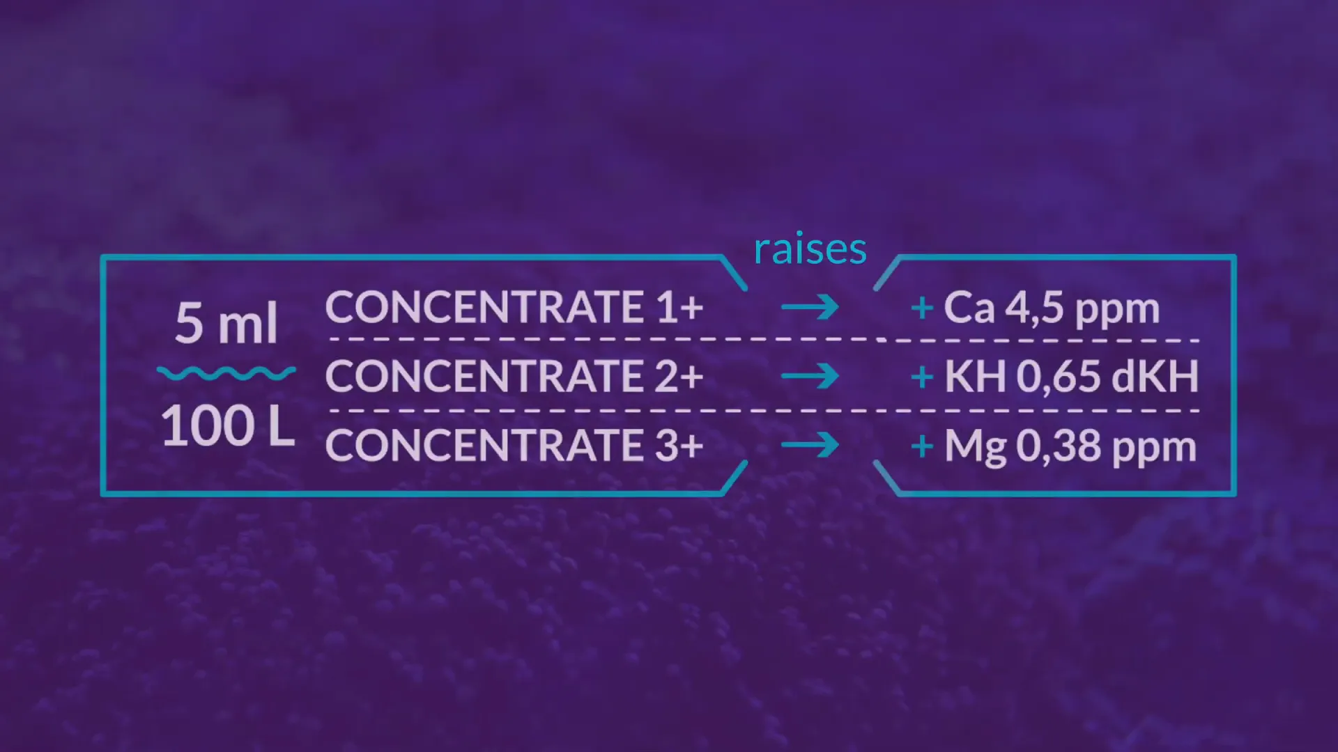 Close-up of concentrated dosing bottles with labels