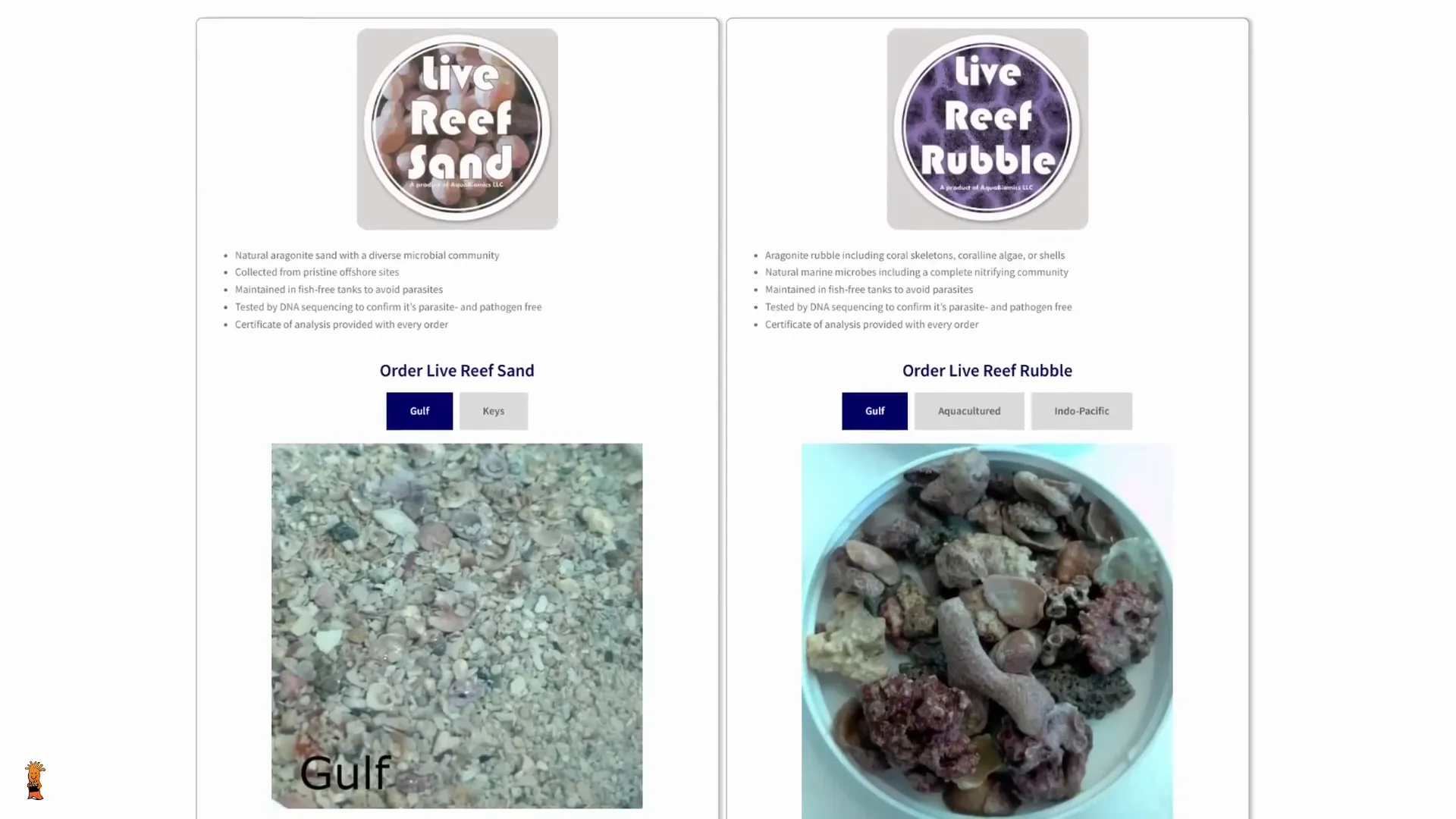 Healthy live sand with diverse microbial life