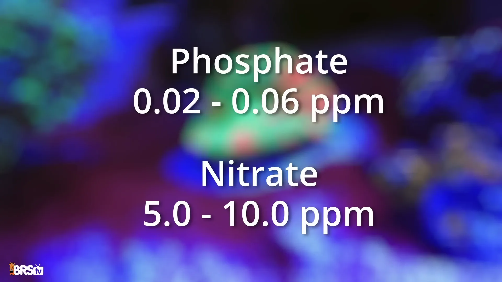 Water testing for phosphate and nitrate levels