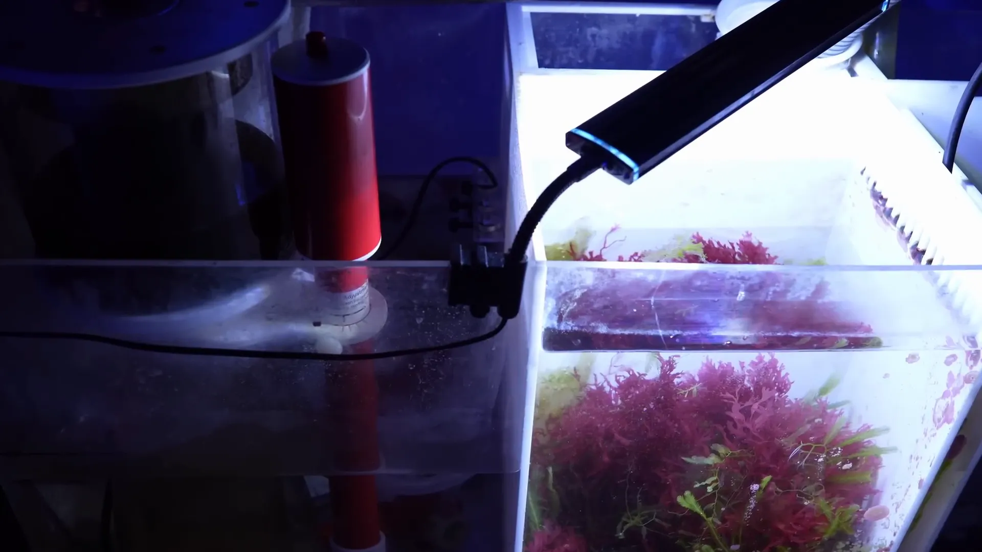 Water change routine