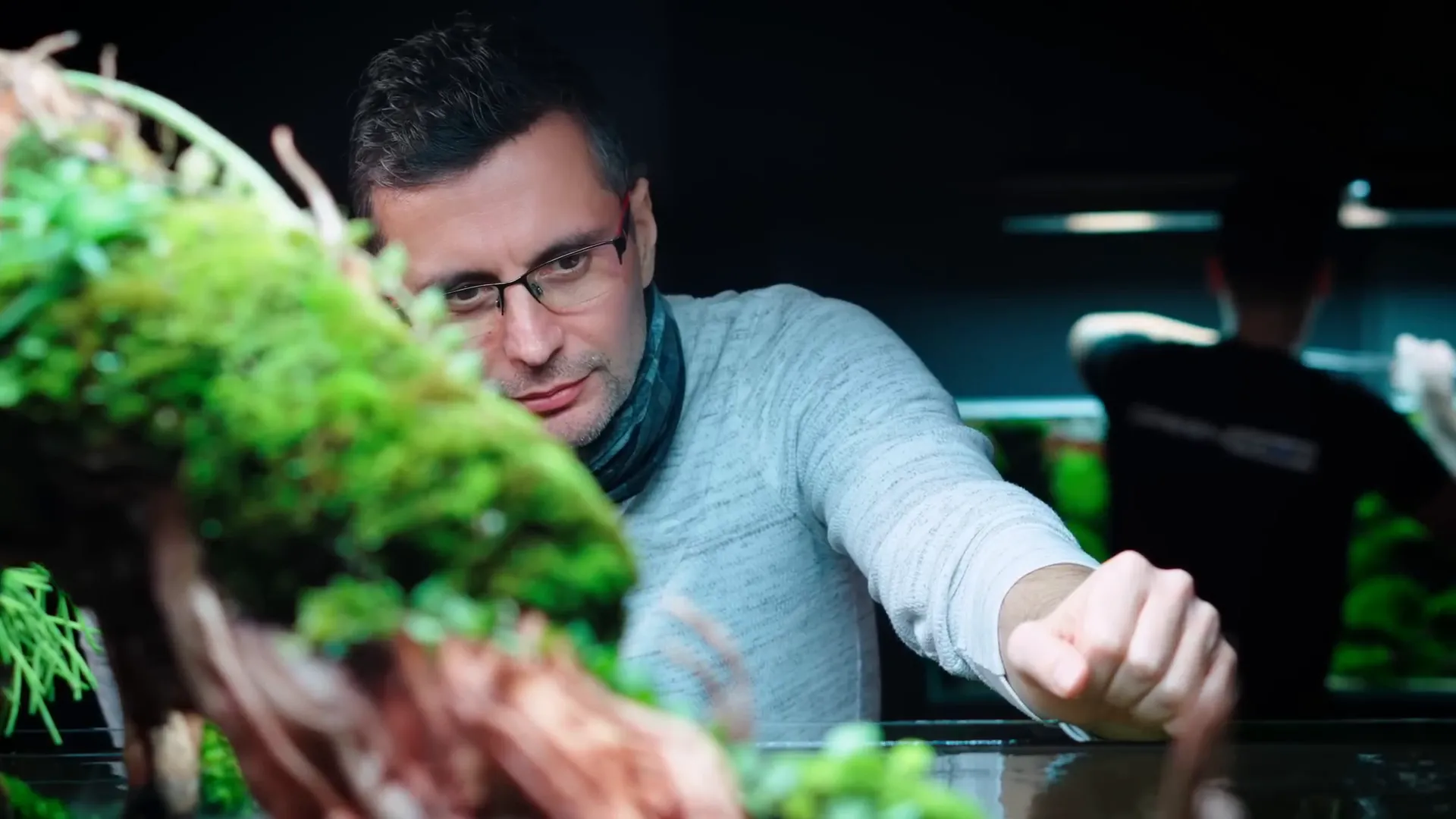 Aquascaping is a continuous process