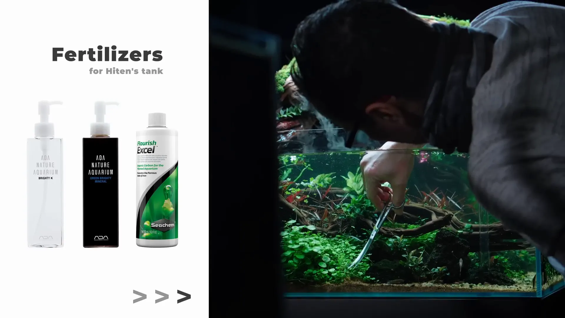 Healthy plants indicating proper CO2 and fertilization