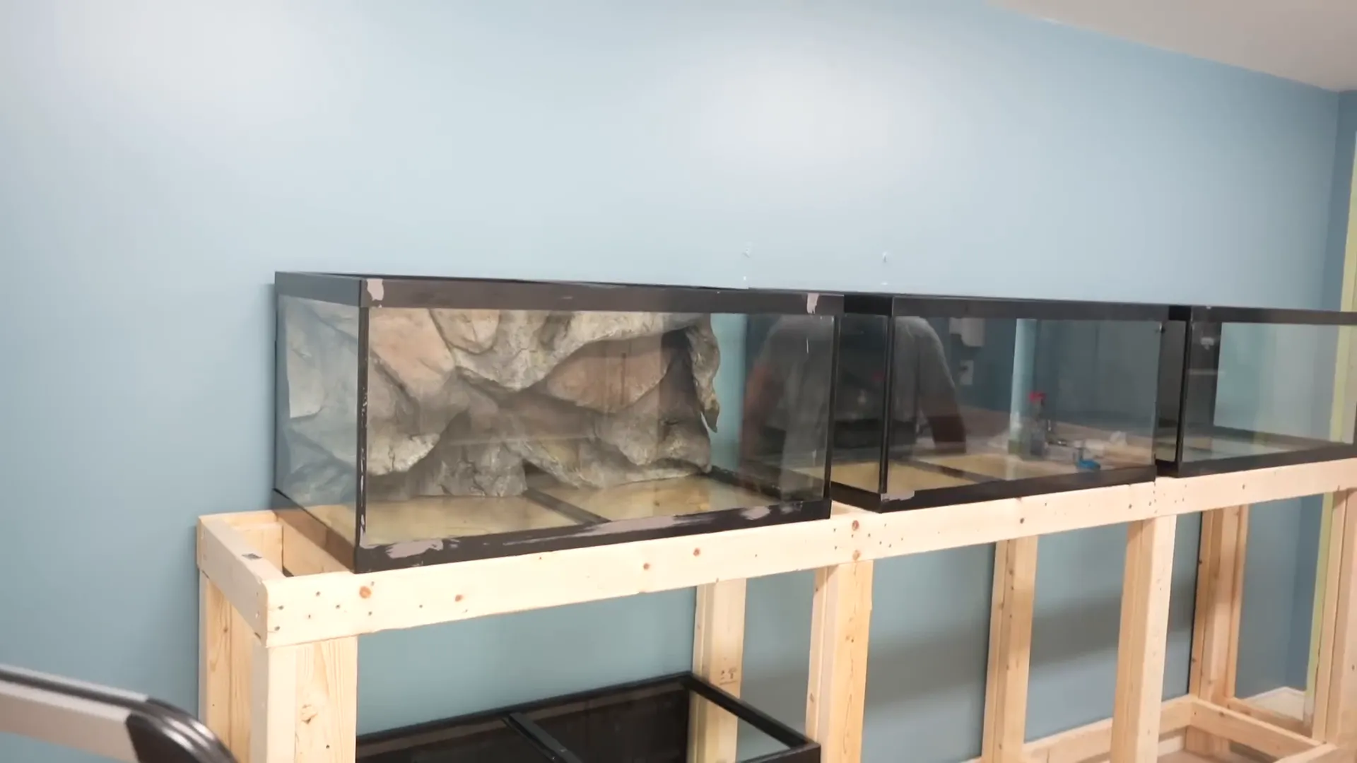 Aquarium with wood background installed
