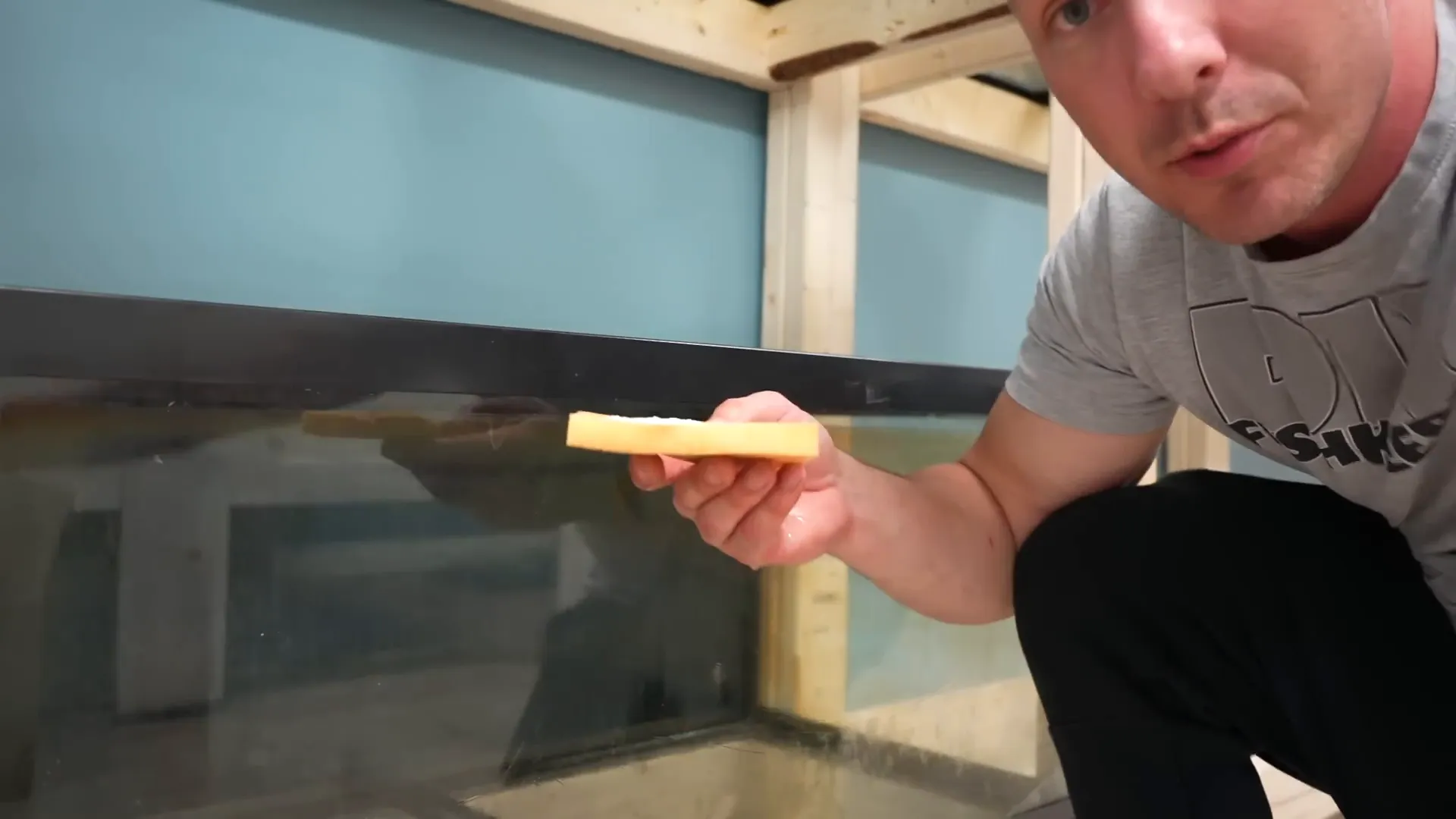 Wet sponge removing hard water stains from aquarium glass