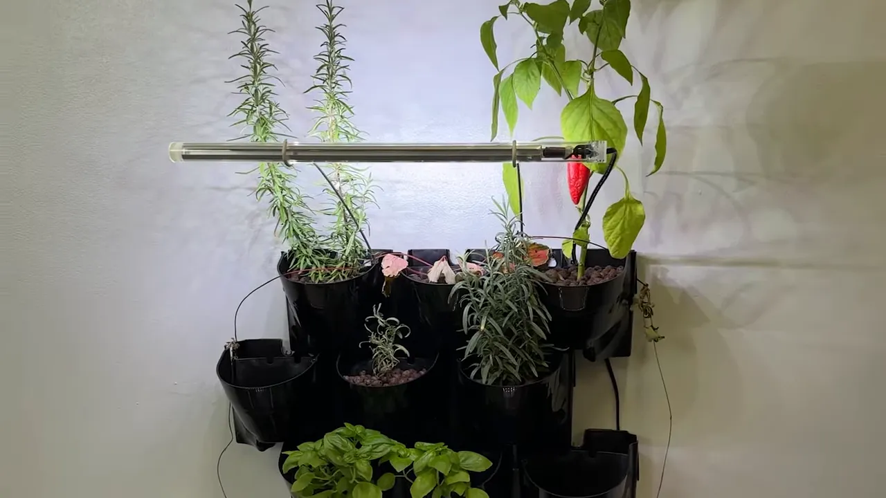 Wall-mounted black planter pockets with herbs and trailing plants under a grow light