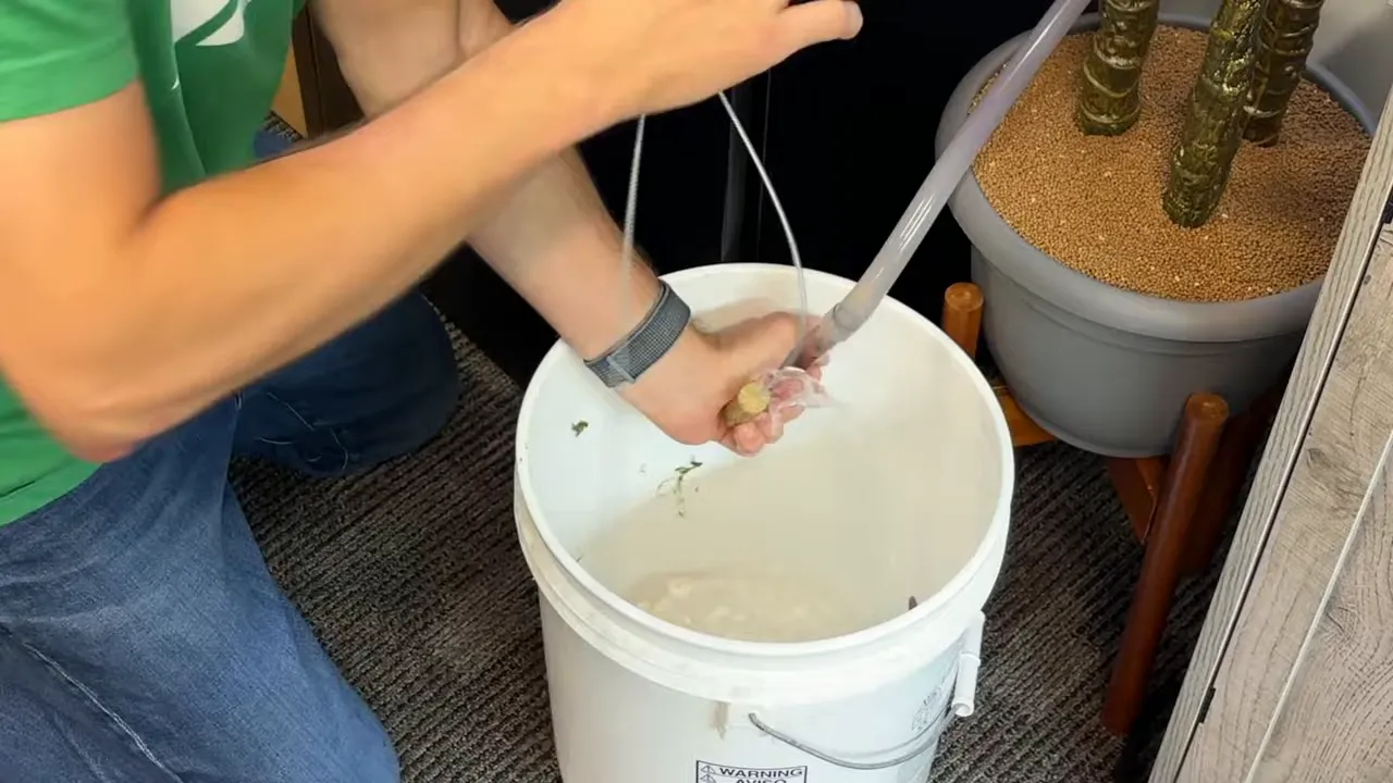 Hands brushing a curved glass lily pipe over a white bucket as water drains from the hose