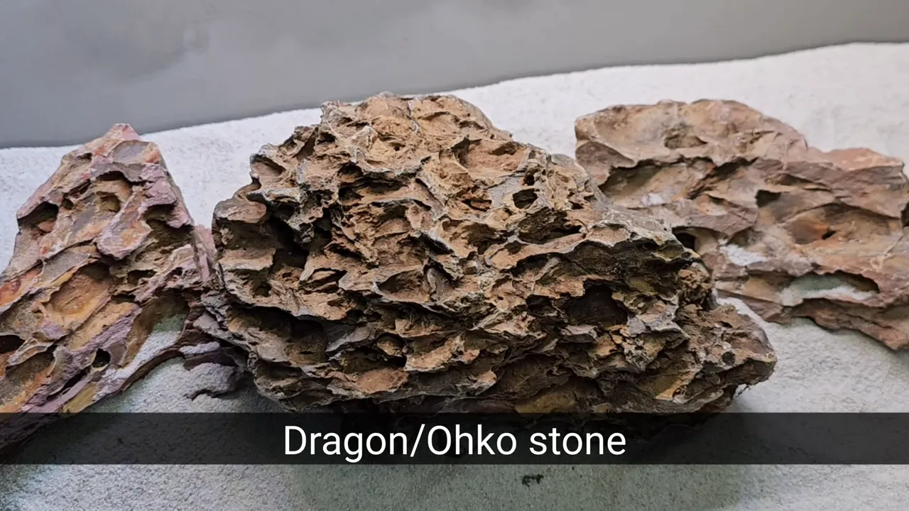 Close-up of brown Dragon Stone with layered holes and rugged texture