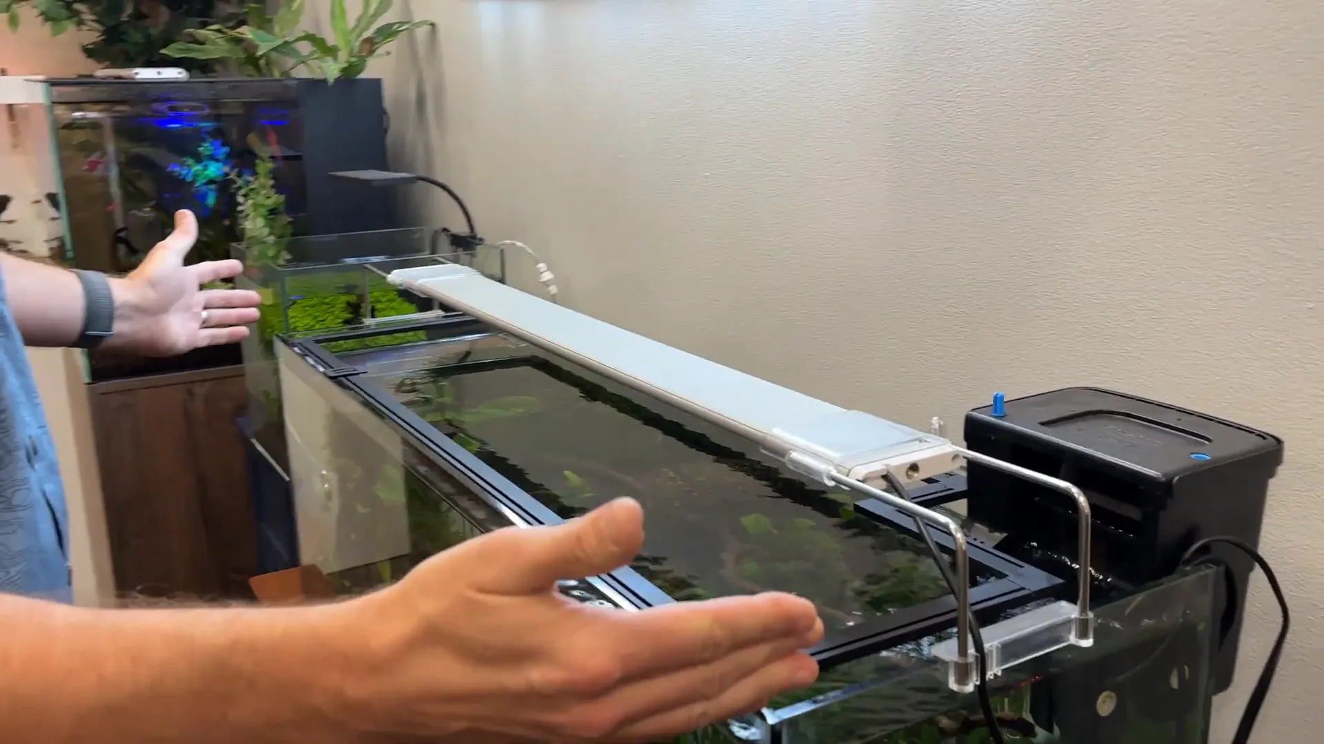 Finished aquarium screen cover installed on the tank