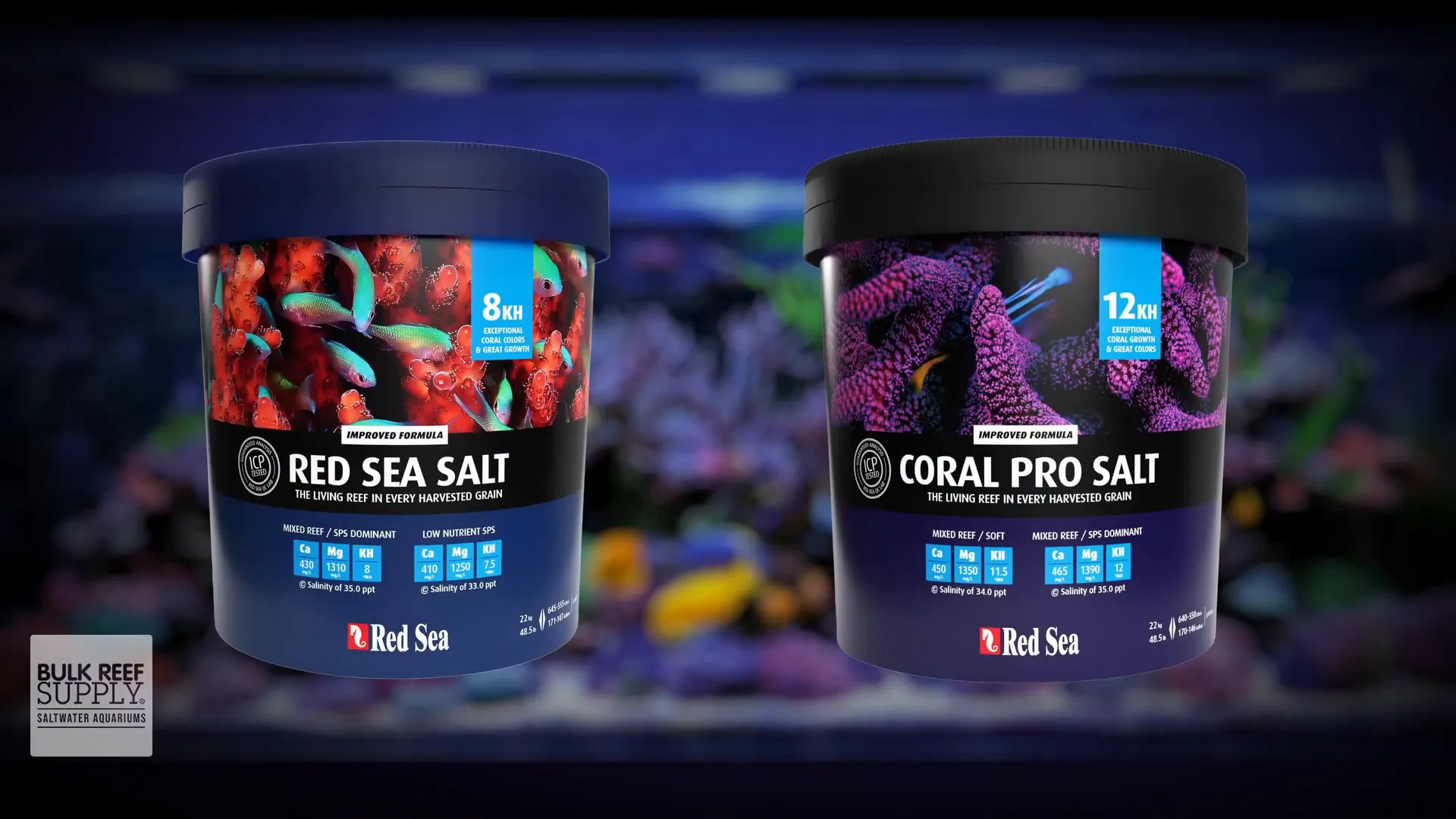 Different sizes of Red Sea Salt: box, bucket and sack