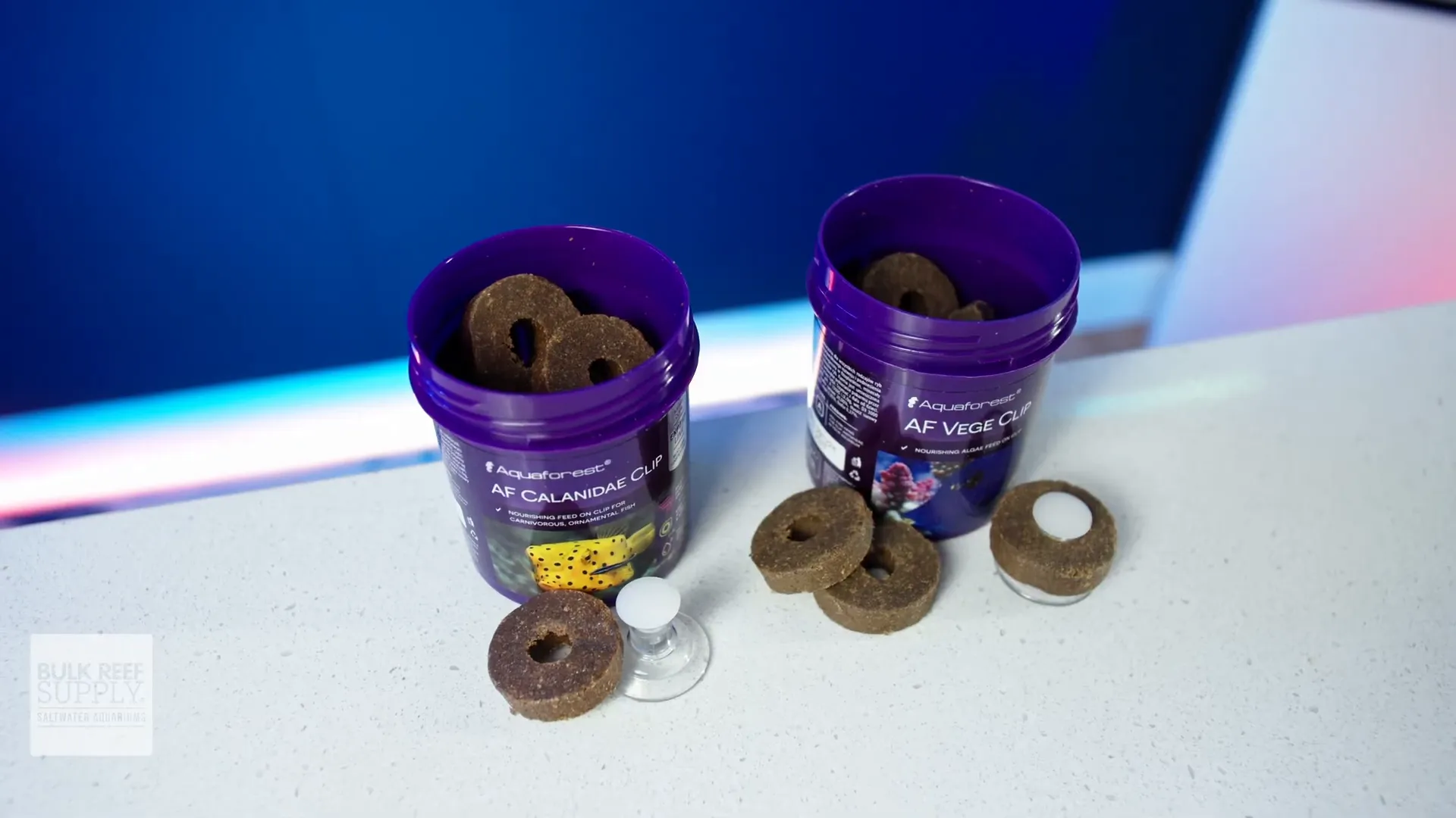 Aquaforest clip-on food ring attached to aquarium glass