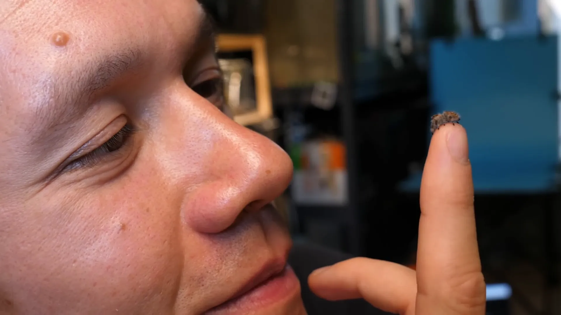 Earl calmly sitting on hand