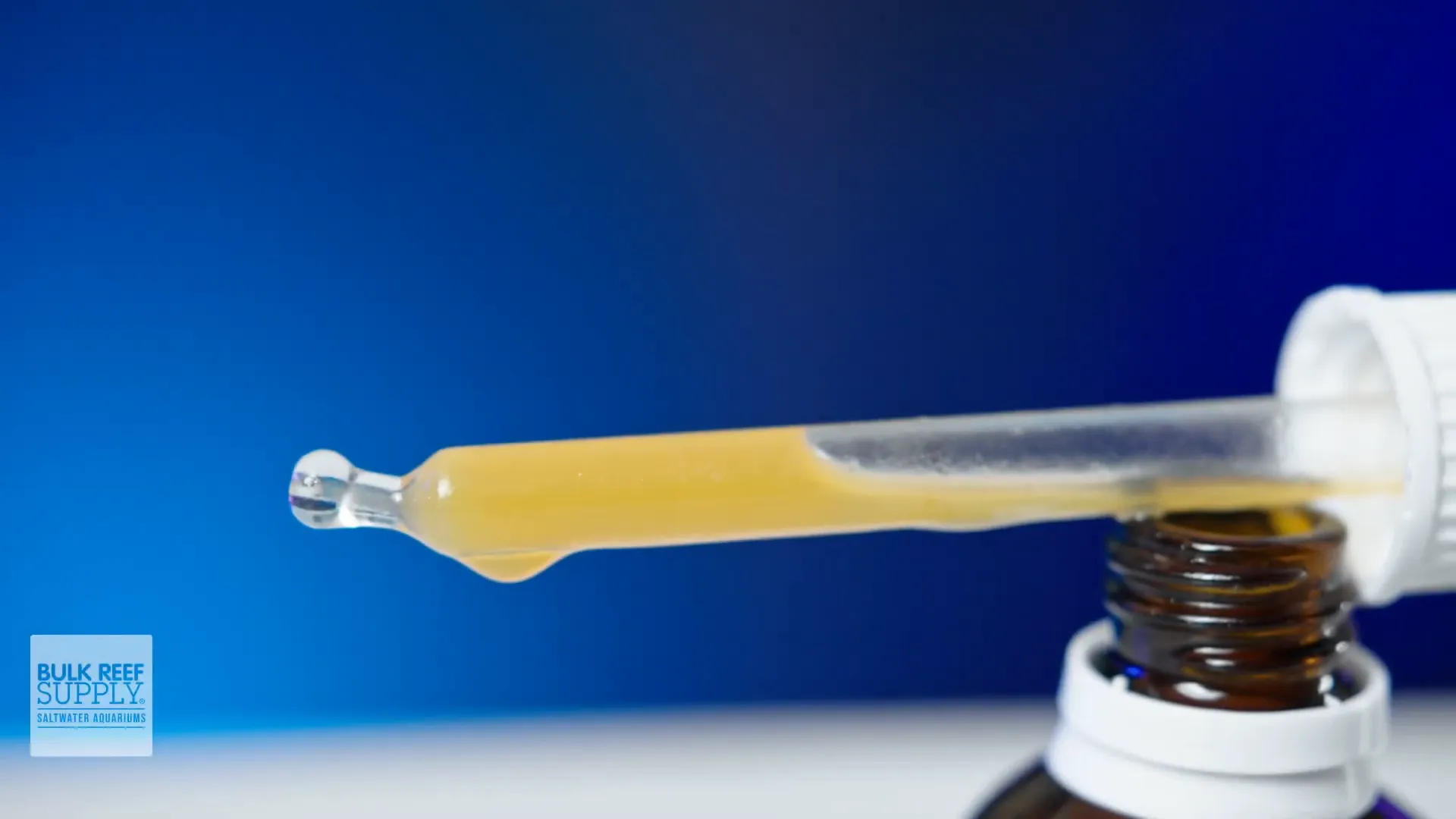 Illustration of polyp extension and feeding response