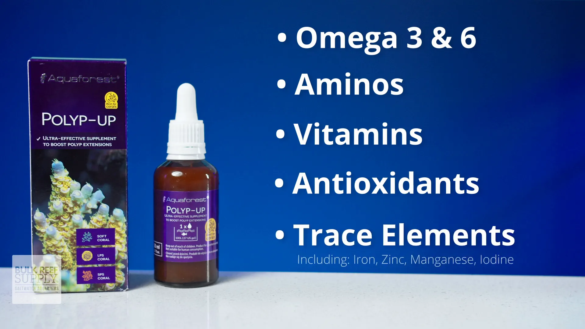 Close-up of coral polyps extending after Aquaforest Polyp Up dosing