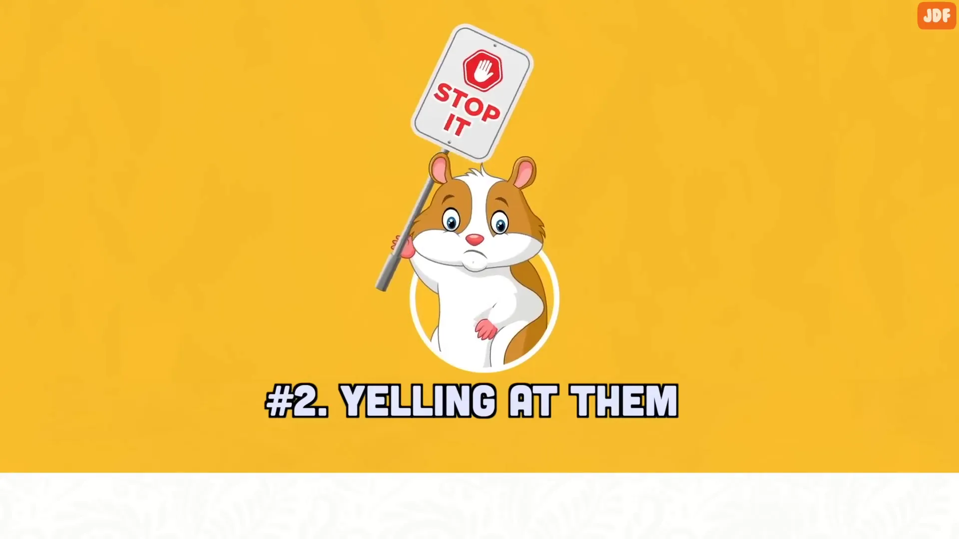 Calm interaction between guinea pig and owner