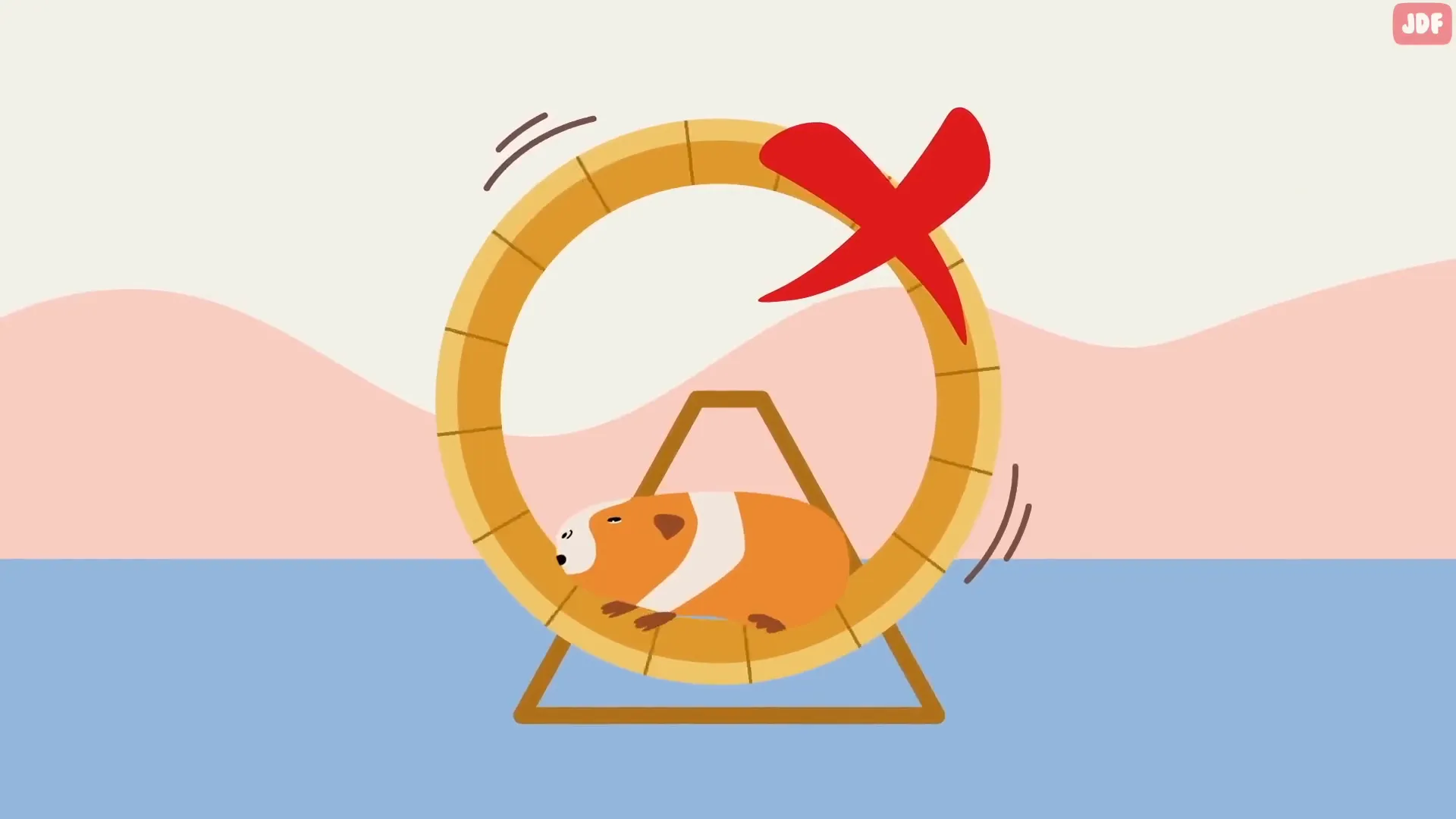 Guinea pig near exercise wheel (not recommended)