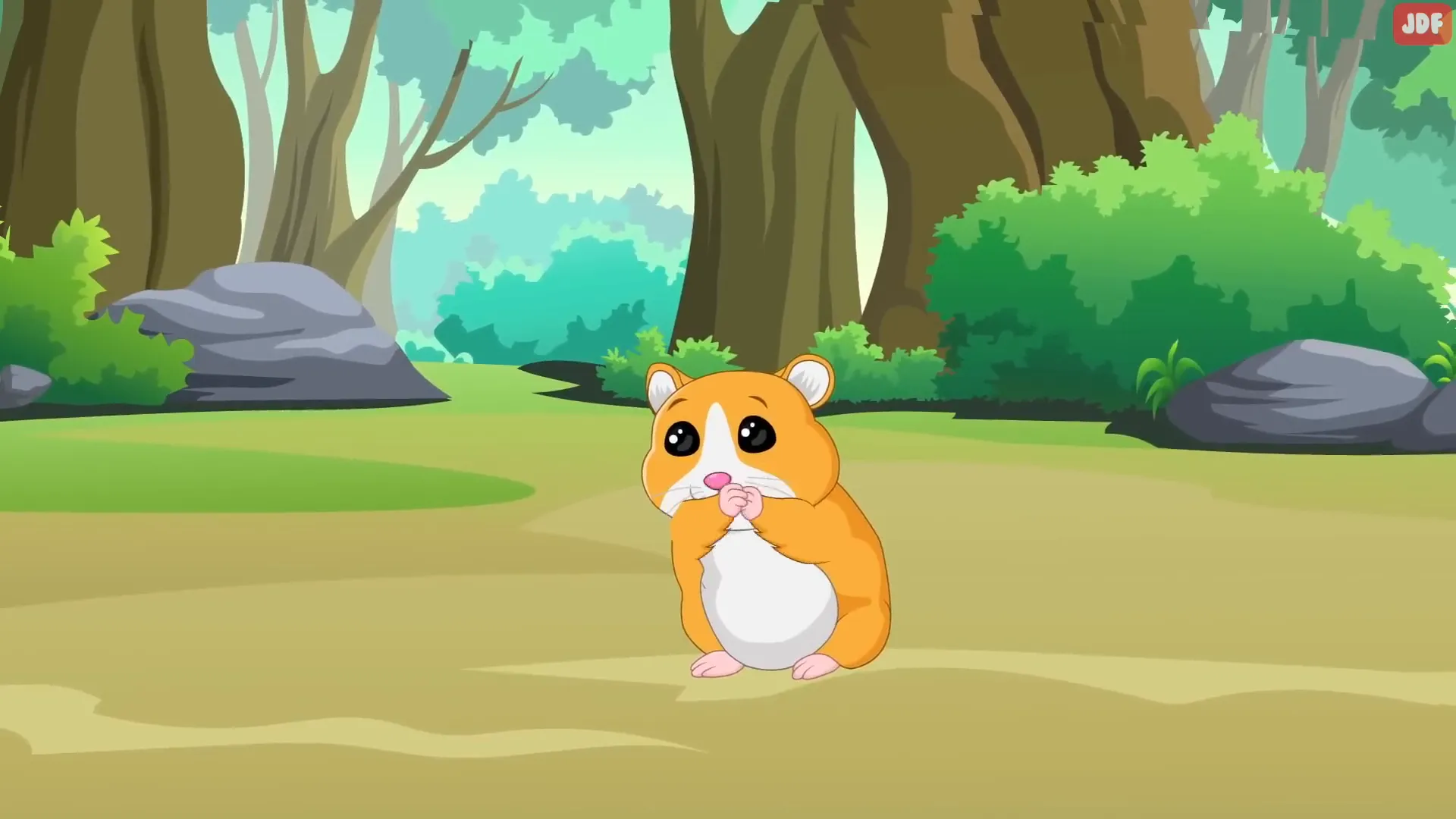 Guinea pig grooming itself