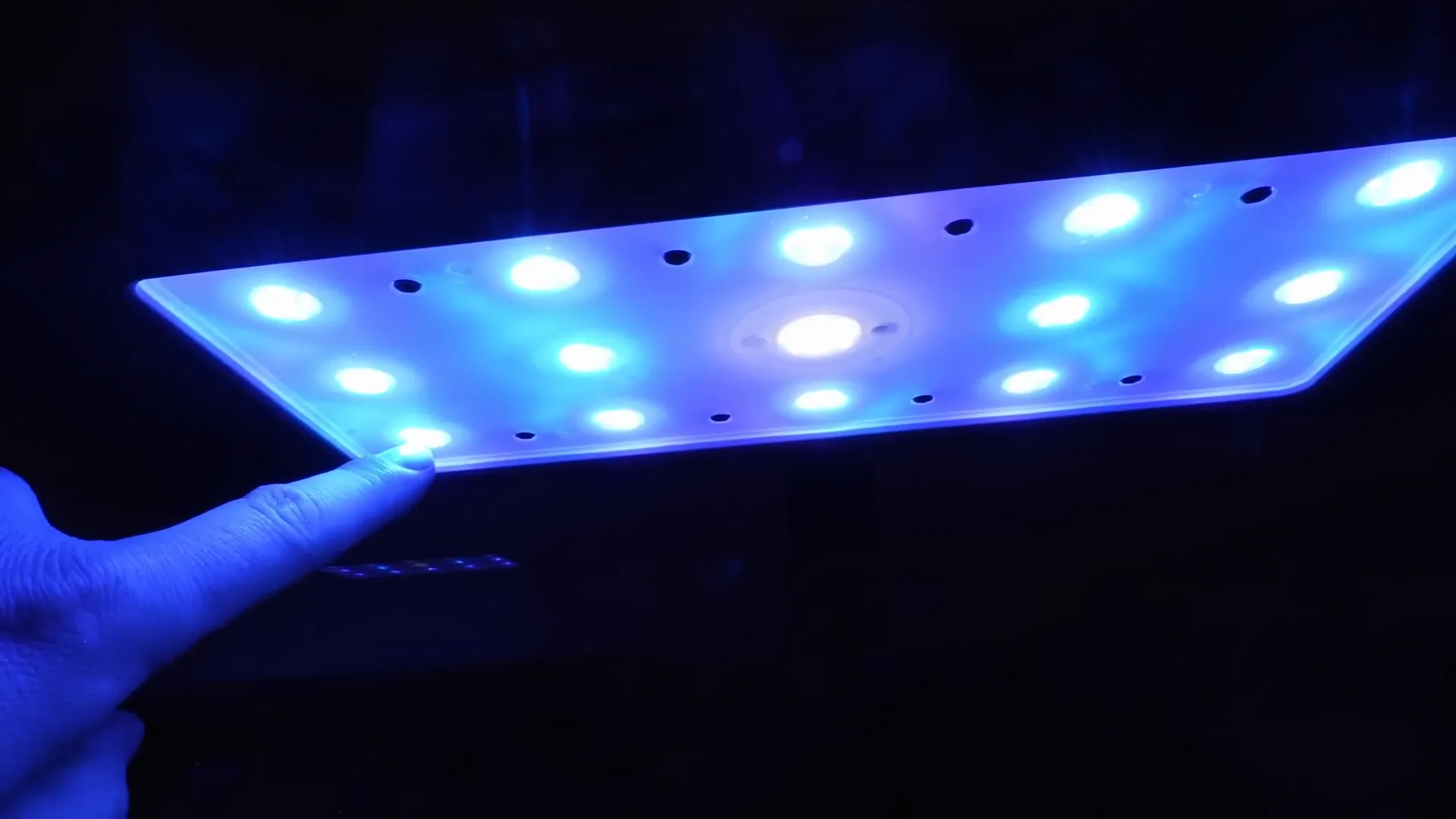 Close-up of Hydra Edge LED panel showing edge field technology