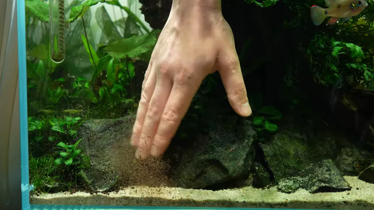 Hand disturbing debris around rocks in a planted aquarium