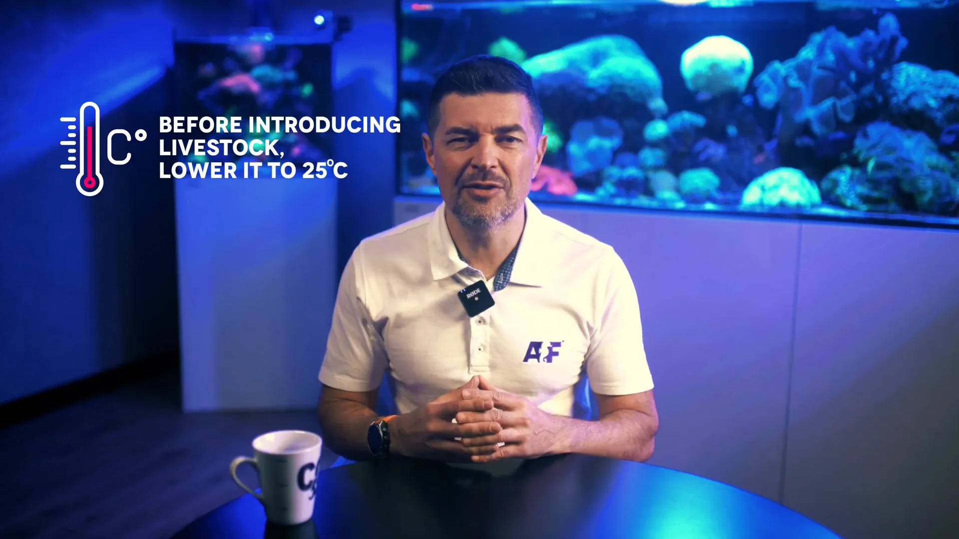 Controlling aquarium temperature for faster cycling