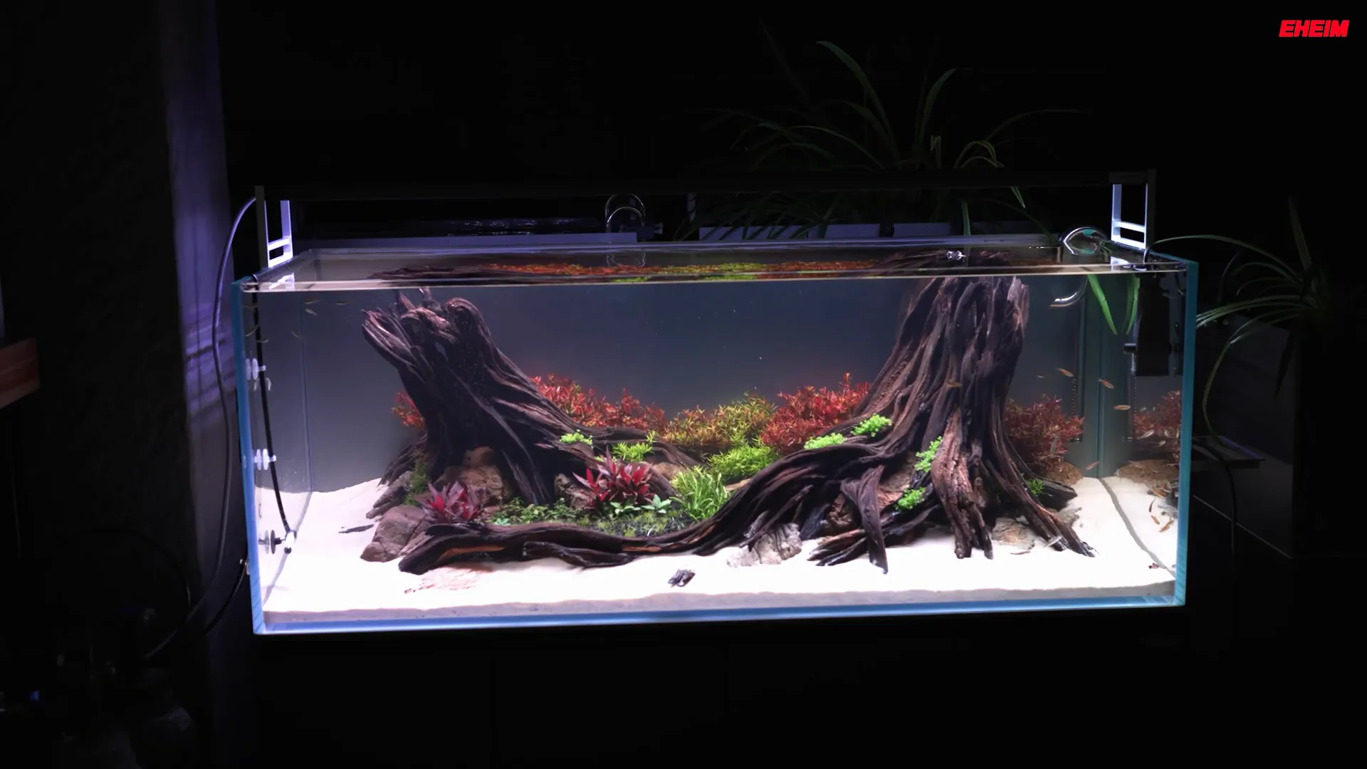 Aquarium in a therapy room setting