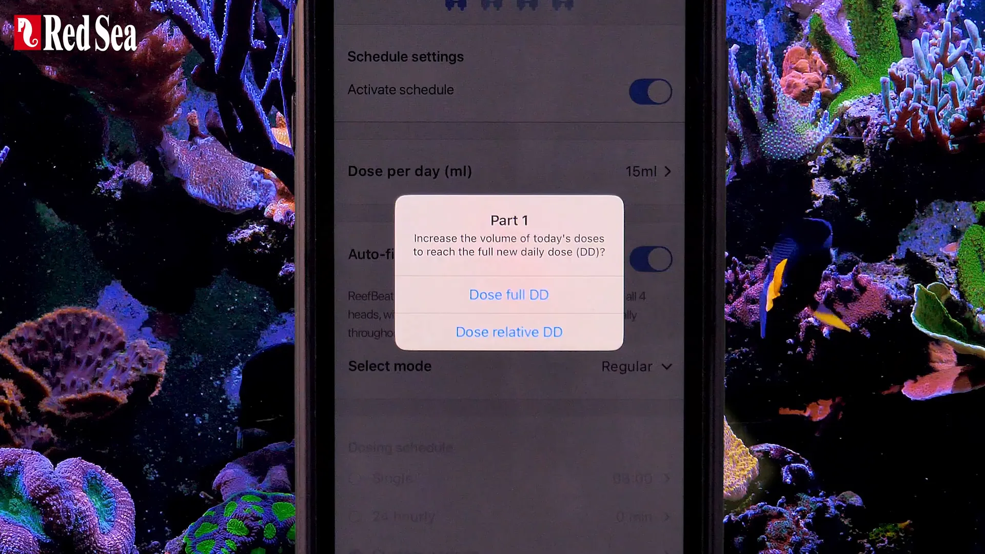 Starting dosing full or relative dose on ReefBeat app