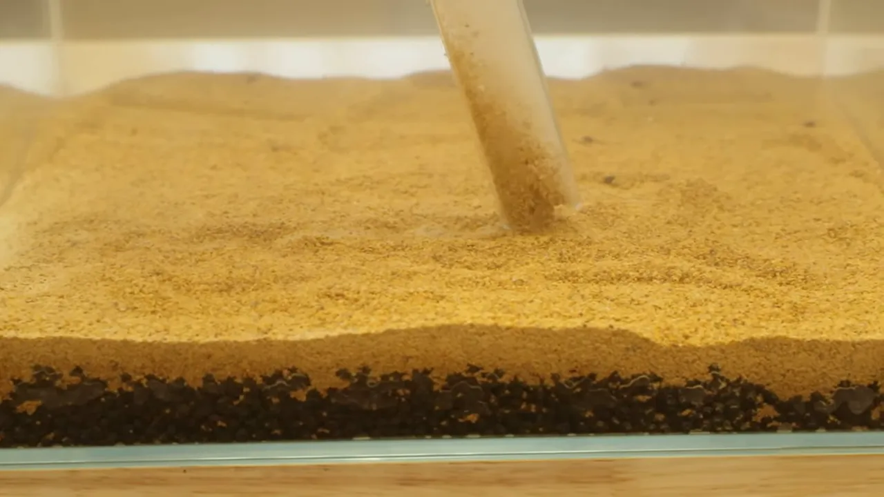 Clear siphon tube angled through a pale sand cap above a dark lower substrate layer
