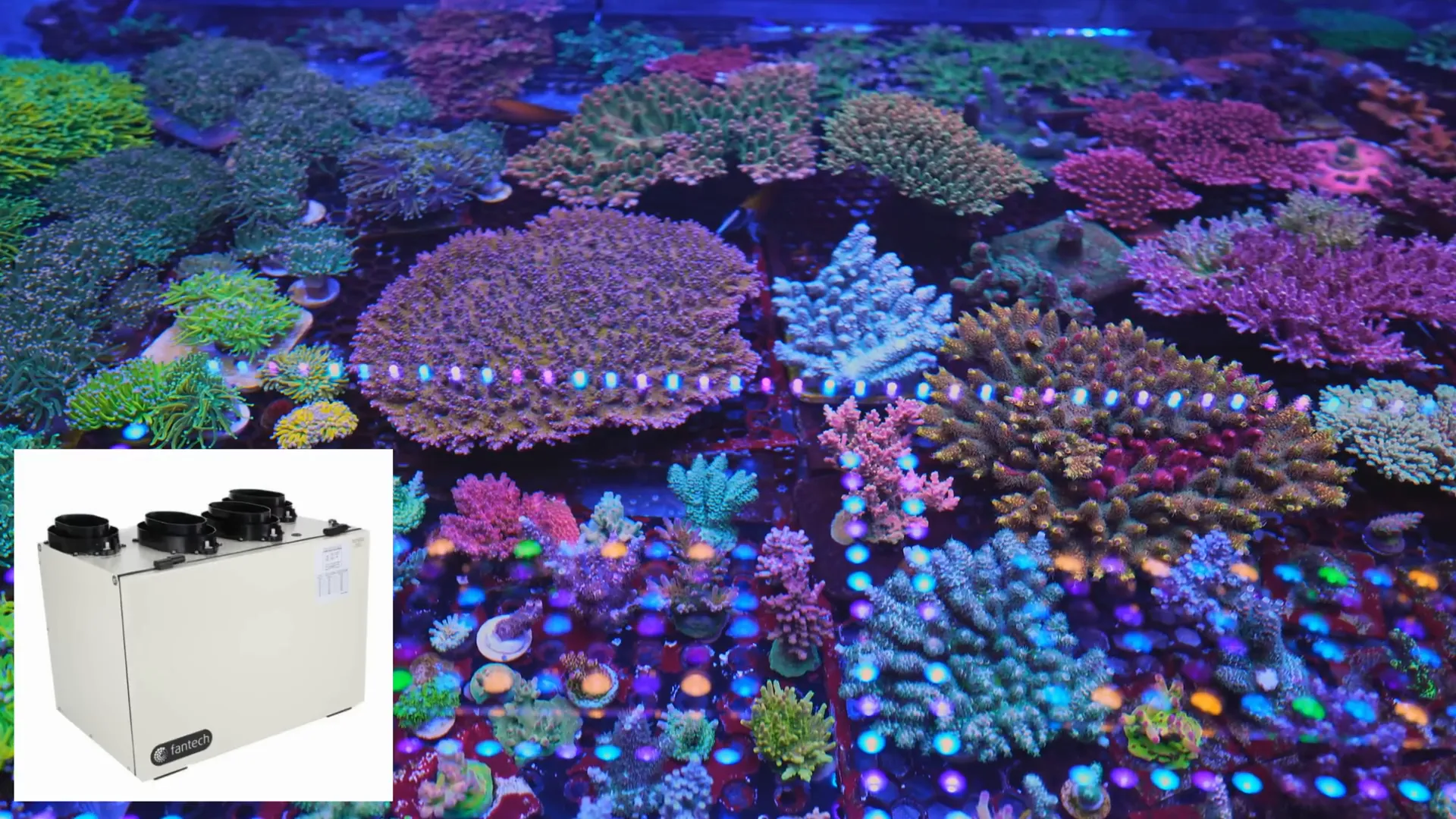 Heat recovery ventilator for reef aquarium