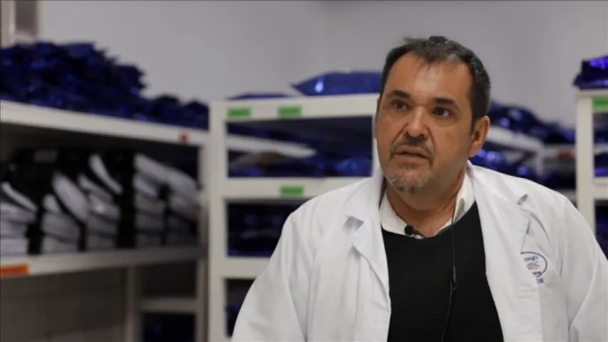 Different types of fats in pet food