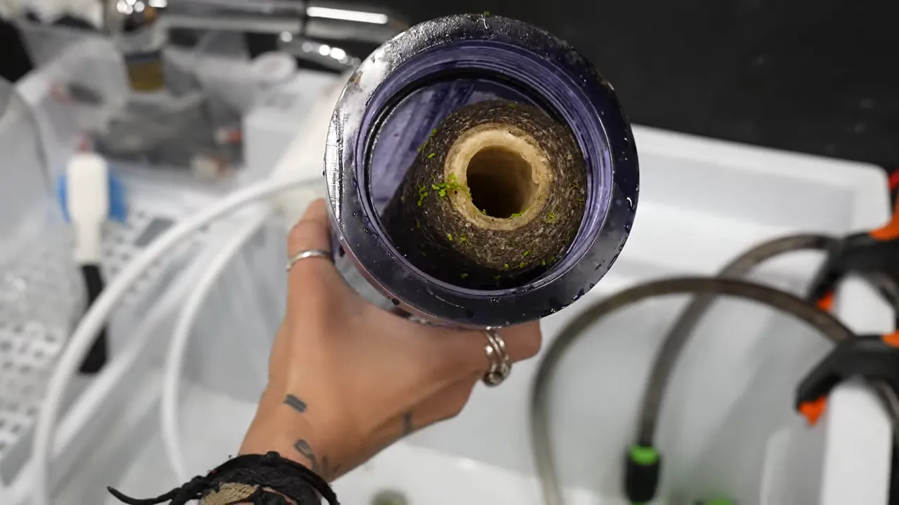 Purple reactor housing holding a dark brown clogged sediment filter cartridge