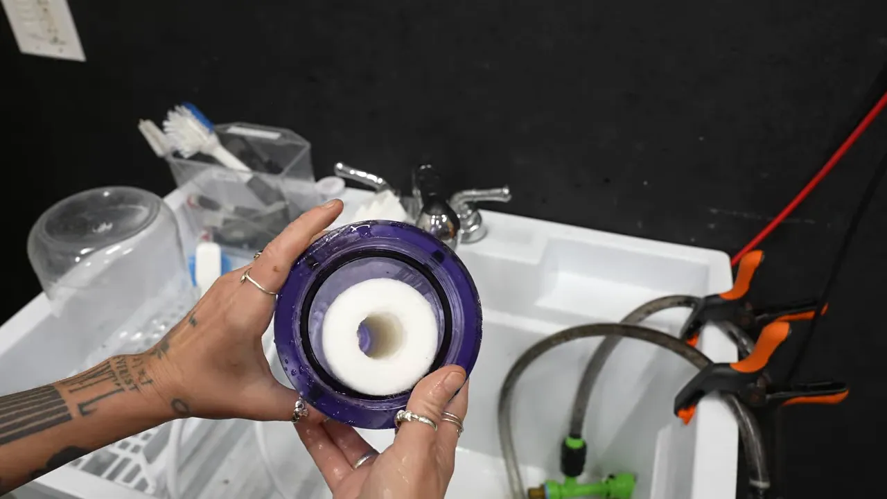 White sediment filter cartridge seated inside a purple reactor housing