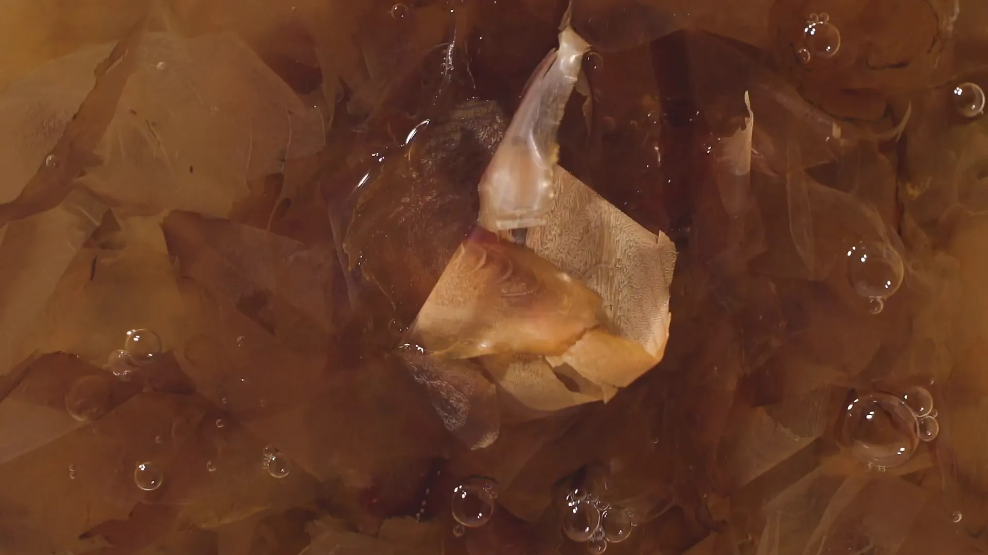 Close-up of dried skipjack tuna flakes used in dashi