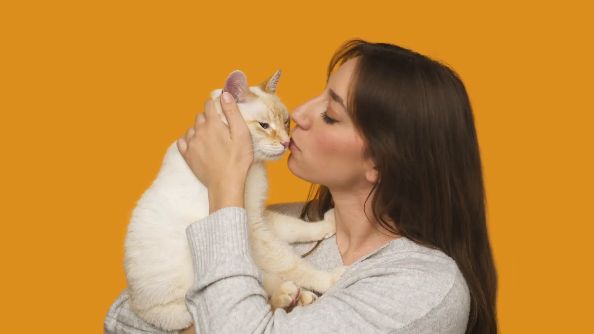 Happy cat enjoying Inaba Dashi Delights