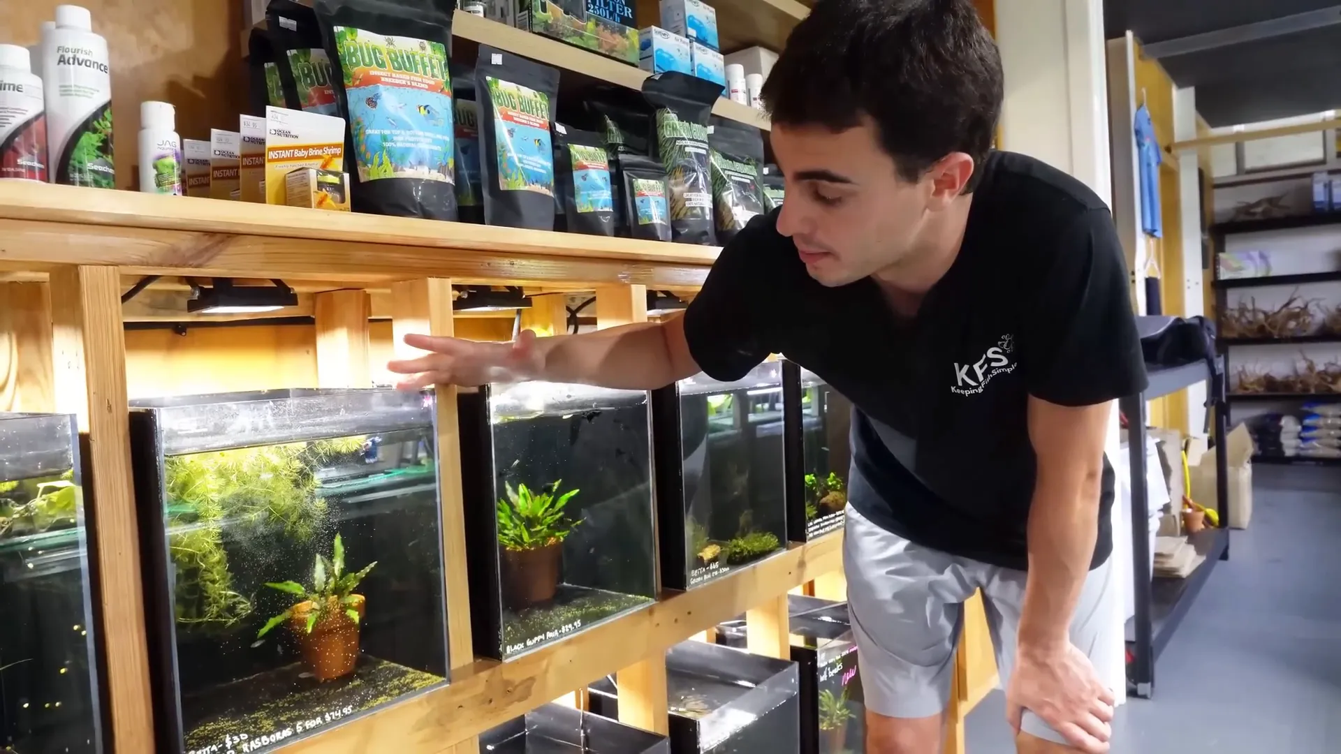 Example of a 10-gallon betta tank setup with plants and dither fish