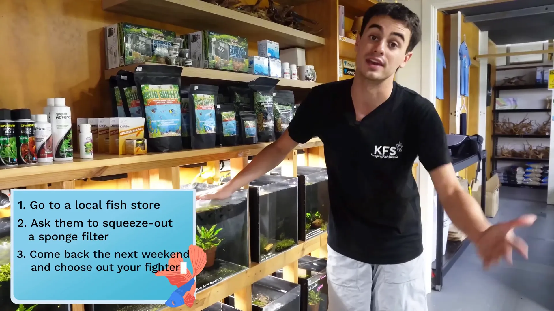 Cycling a new aquarium for betta fish