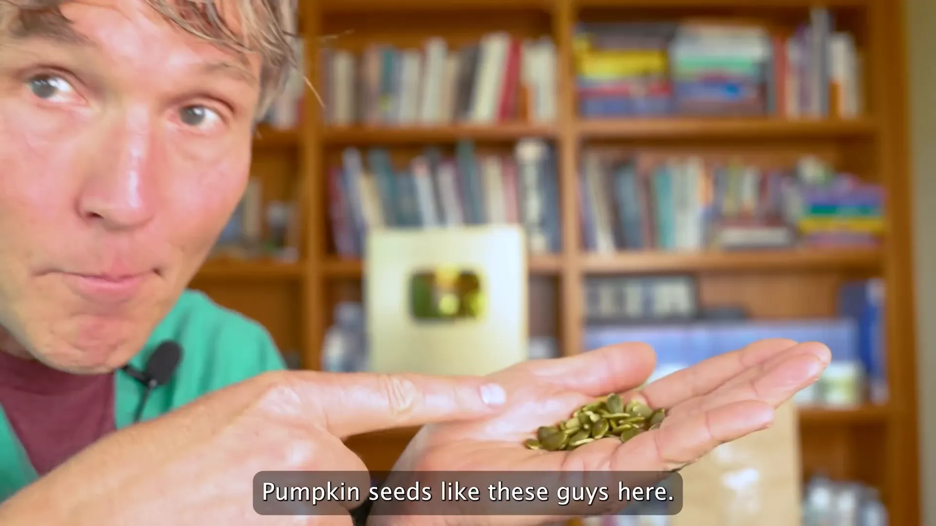 Canned pumpkin and pumpkin seeds for pets