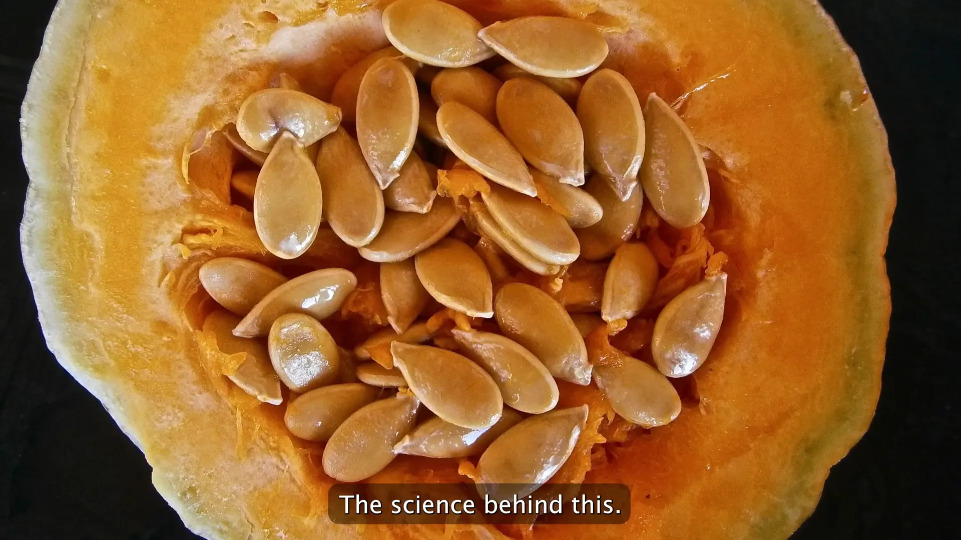 Pumpkin fiber supporting liver function and gut health