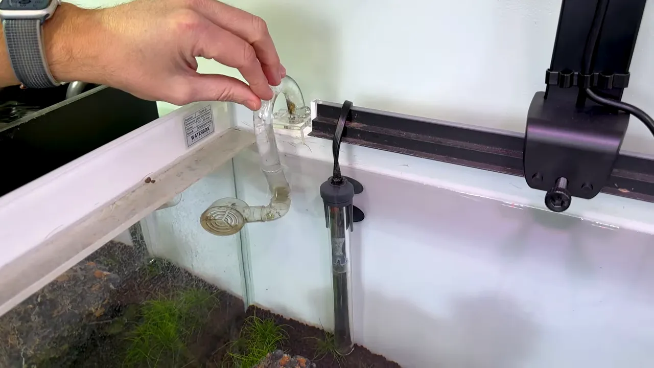 Submerged aquarium heater positioned beside a black filter outflow pipe