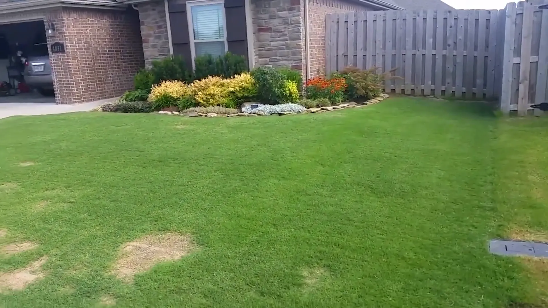 Leveling the lawn in June