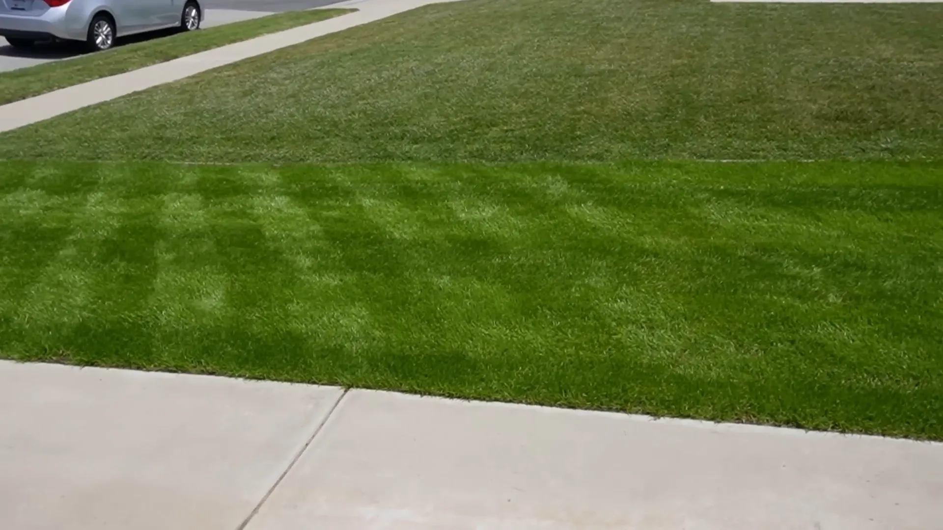 Regular mowing for a healthy lawn