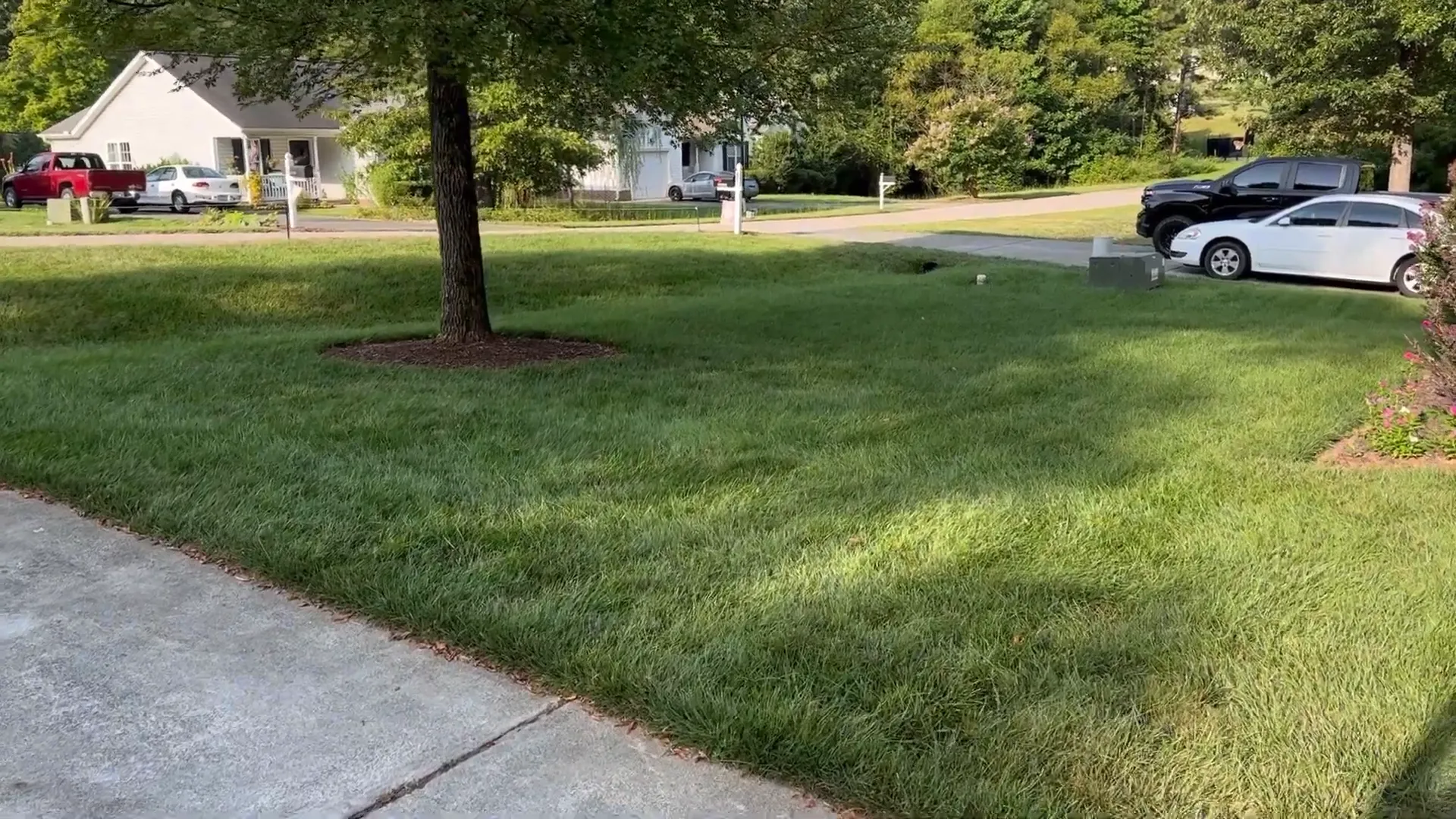 Overseeding lawn preparation