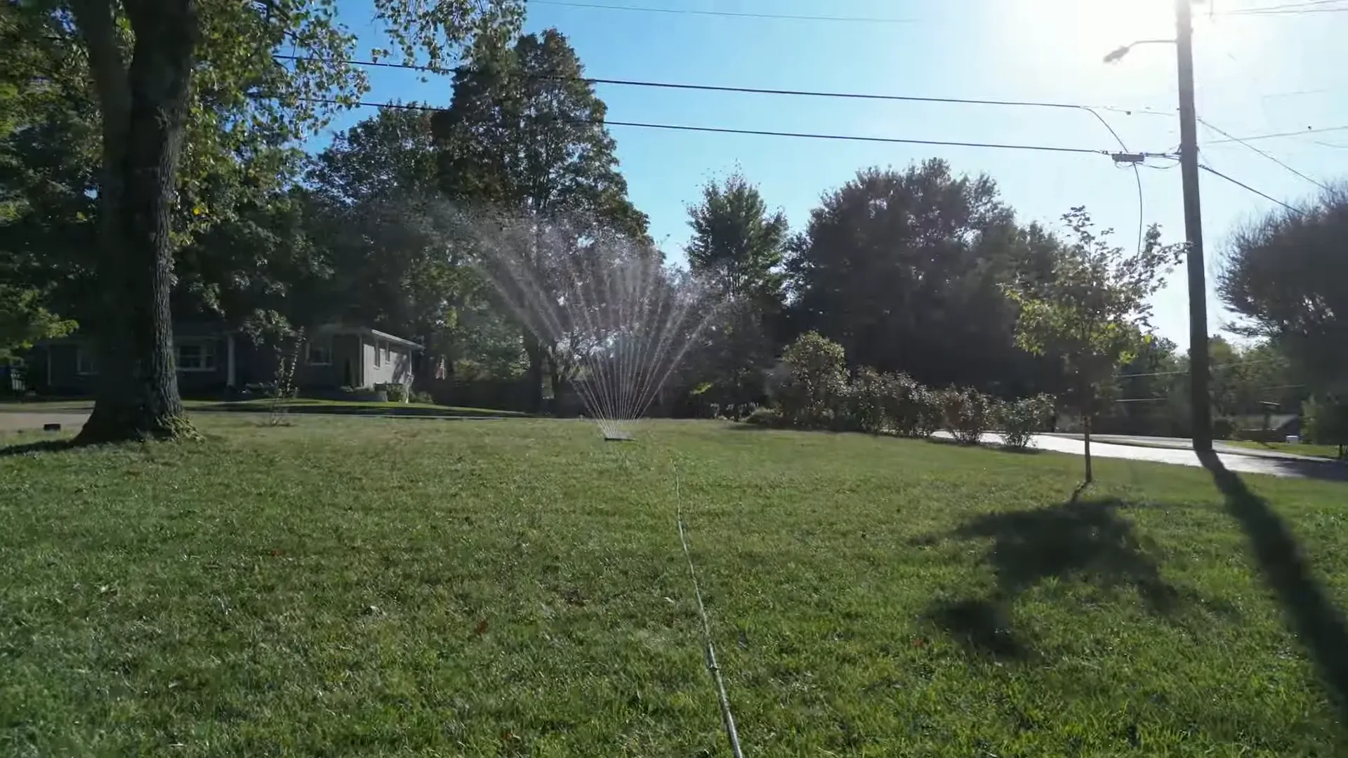 Watering the lawn