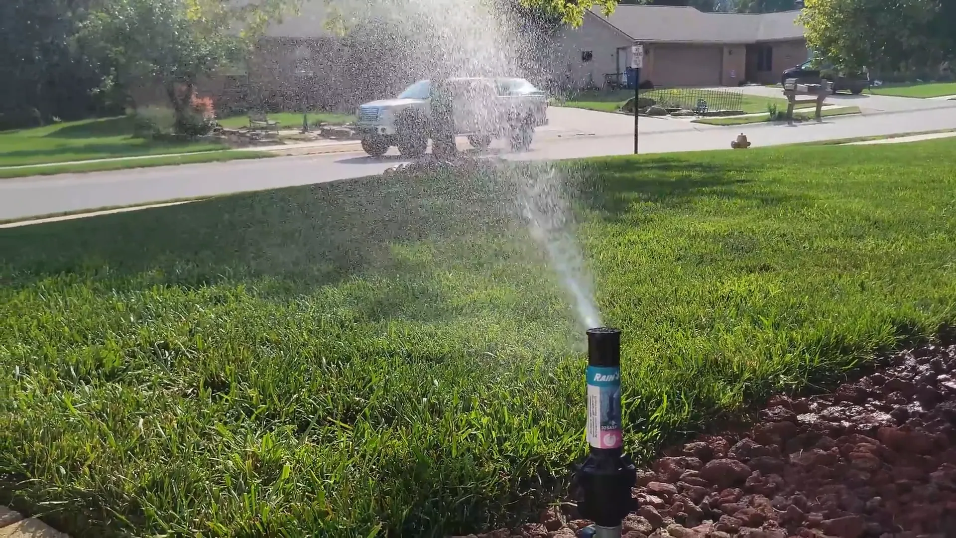 Proper watering for overseeded lawns