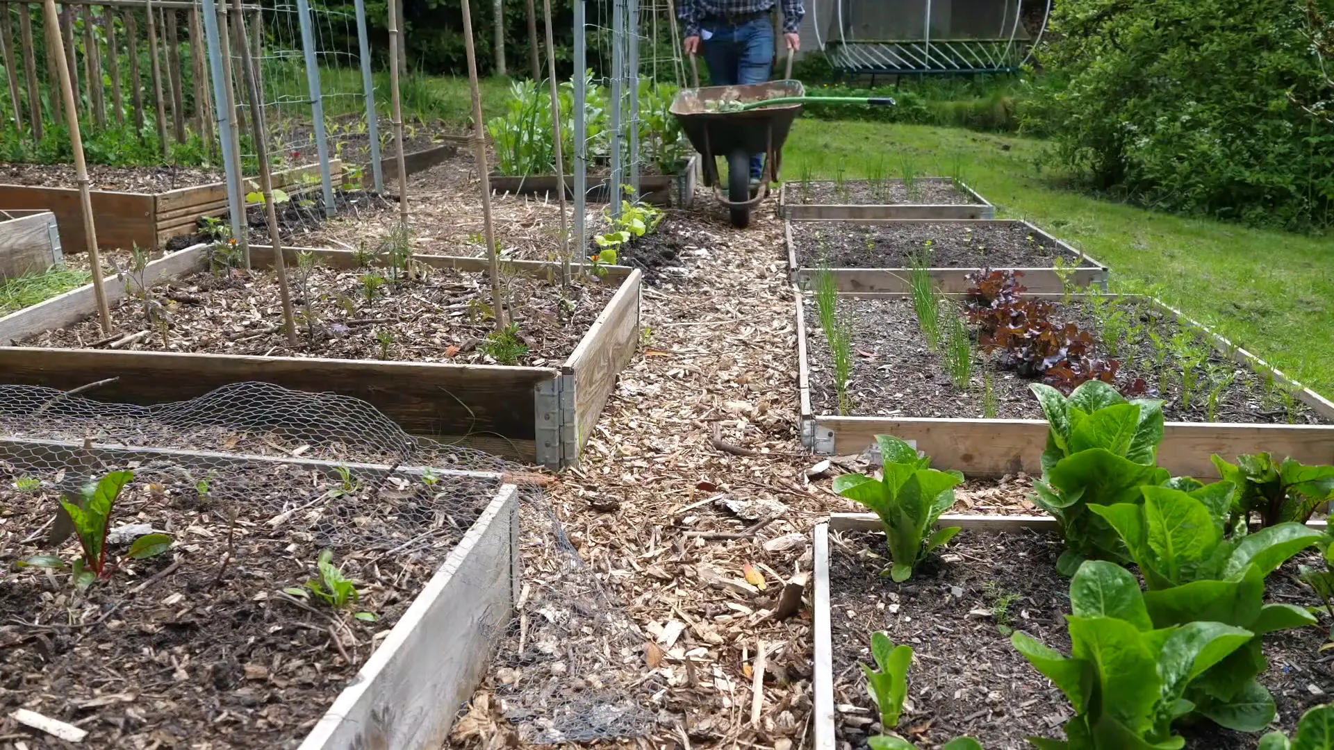 Planning the layout of a vegetable garden