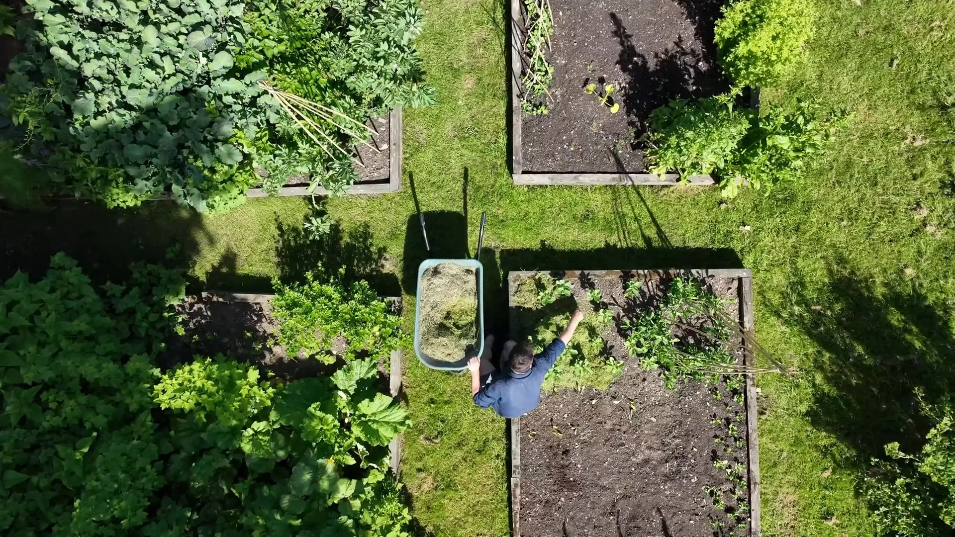 Sunny and shady areas in garden