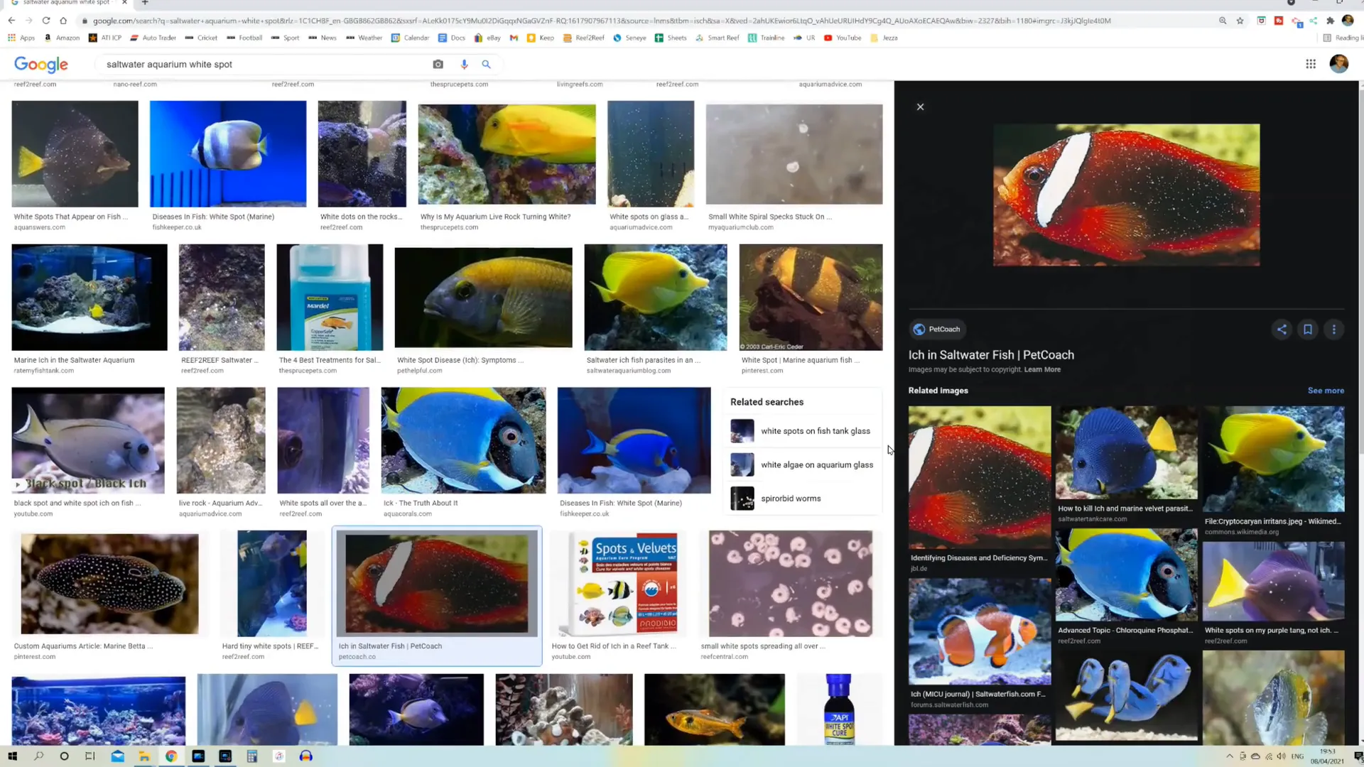 Marine fish disease chart