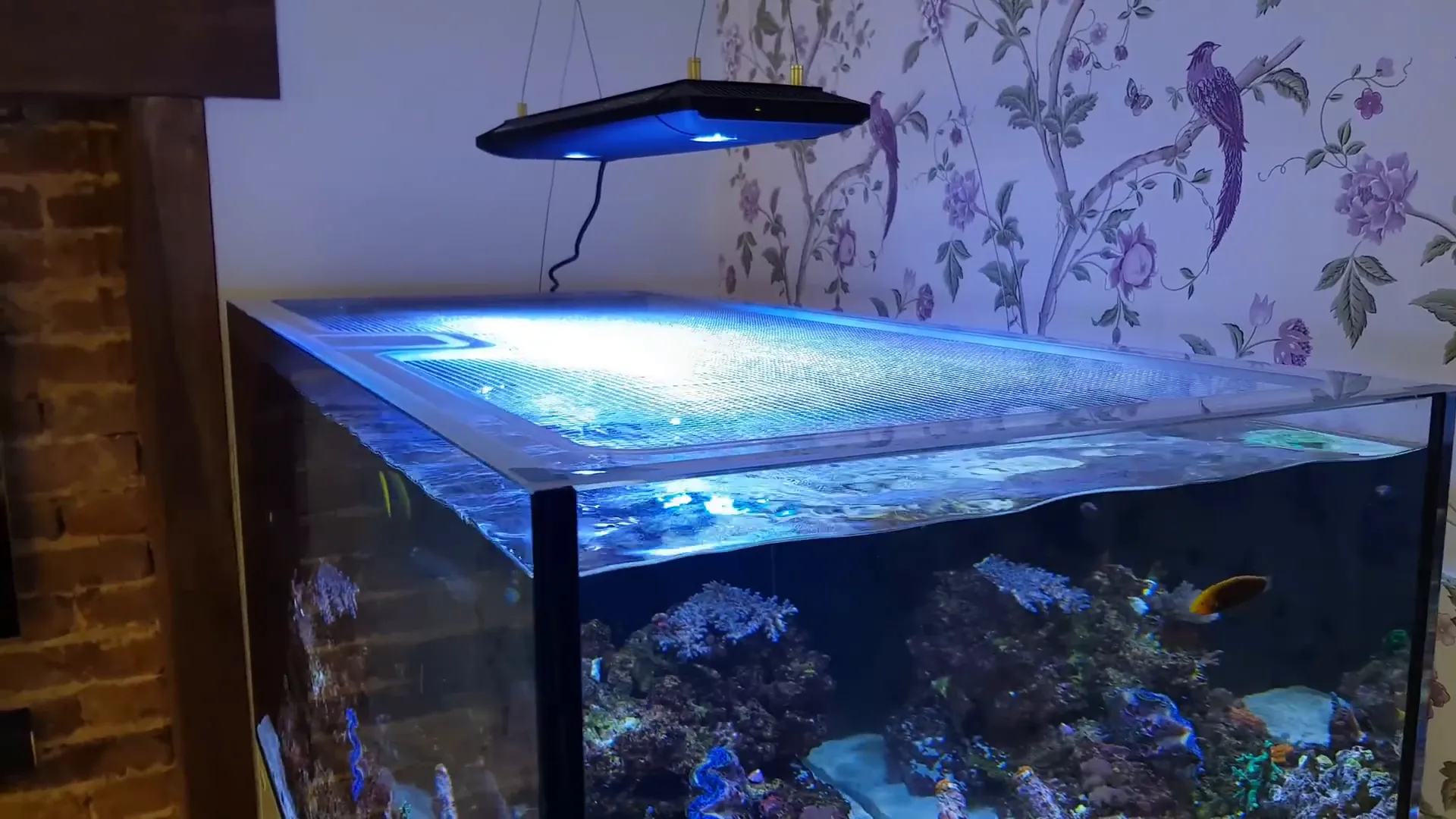 Net cover over an aquarium
