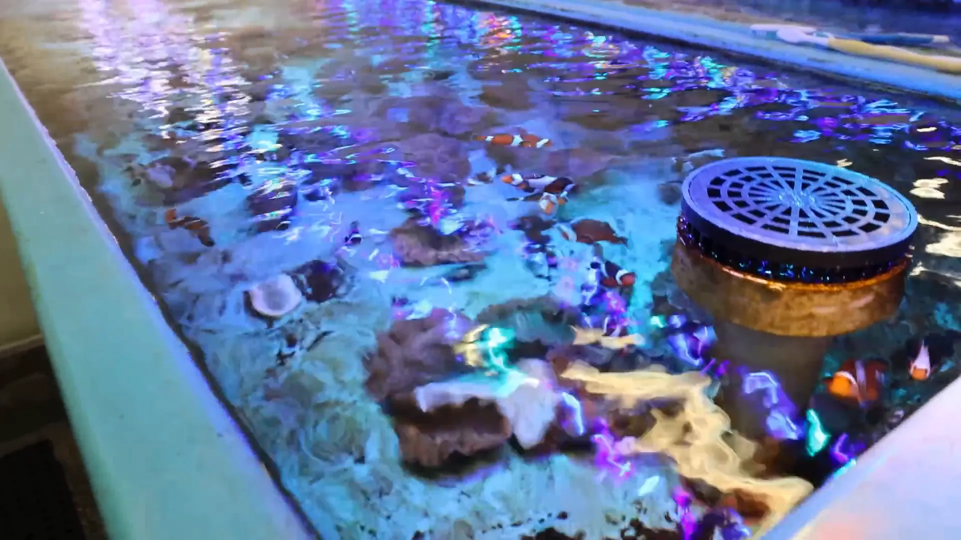 Stacks of packed shipping boxes ready to go